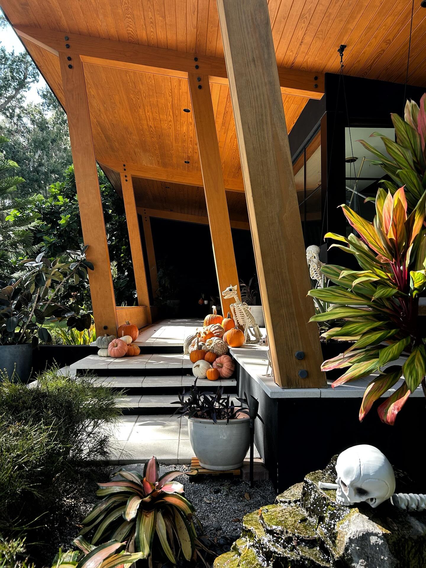 Halloween spirit at our Lake Ivanhoe &amp; Beverly Shores homes and some  fall vibes at the studio