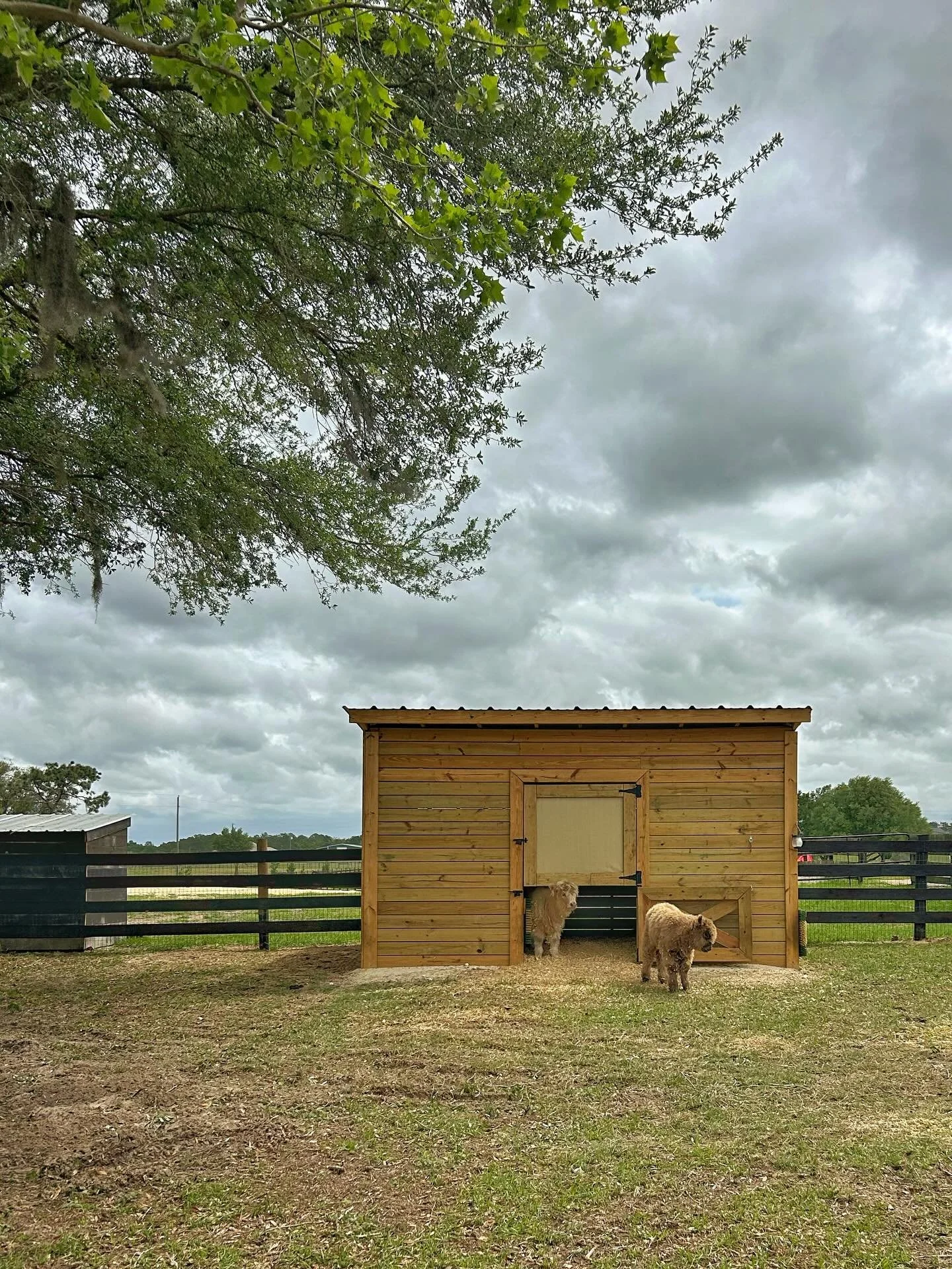 Some site visits hit different #ocala