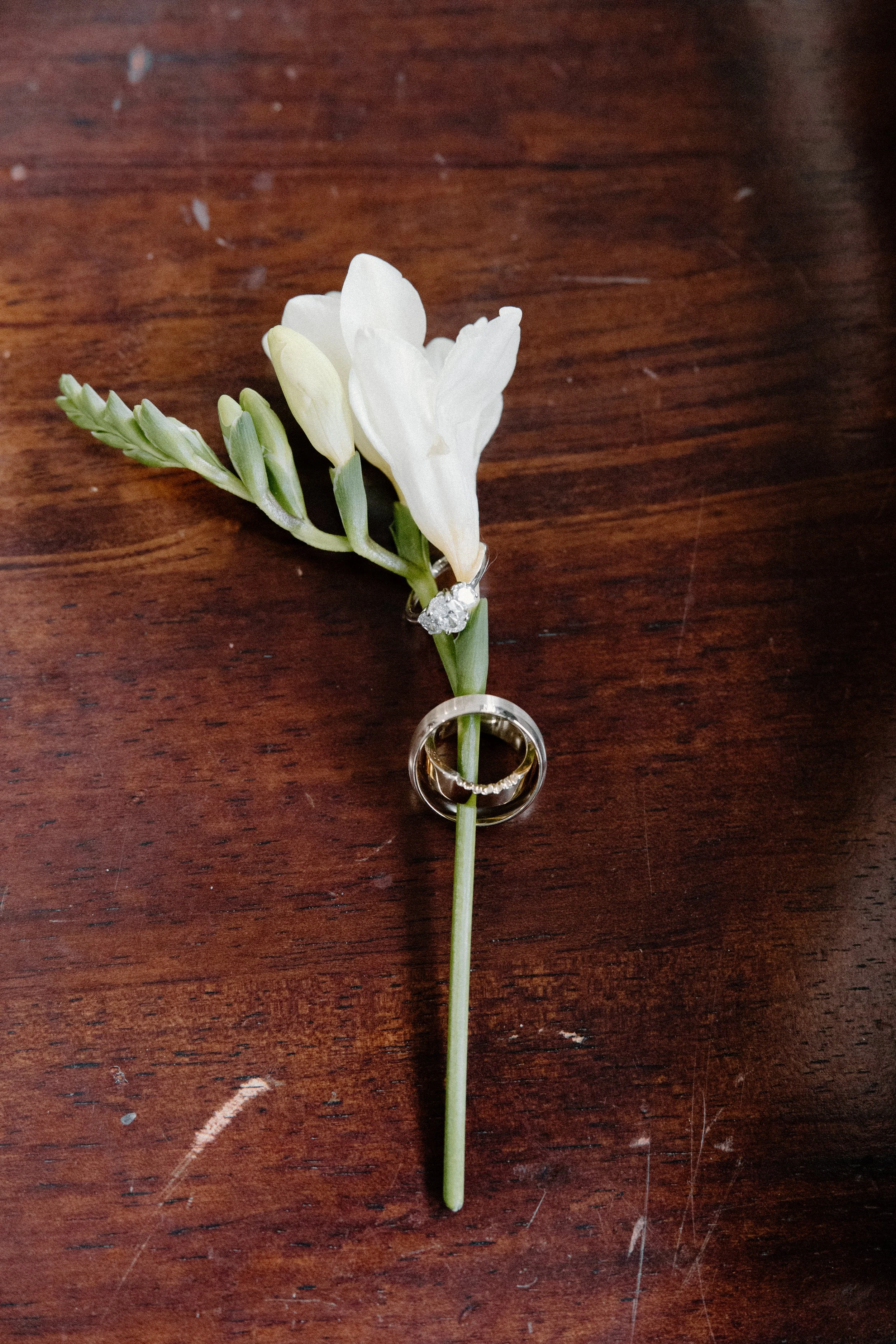 Flower with both rings on it