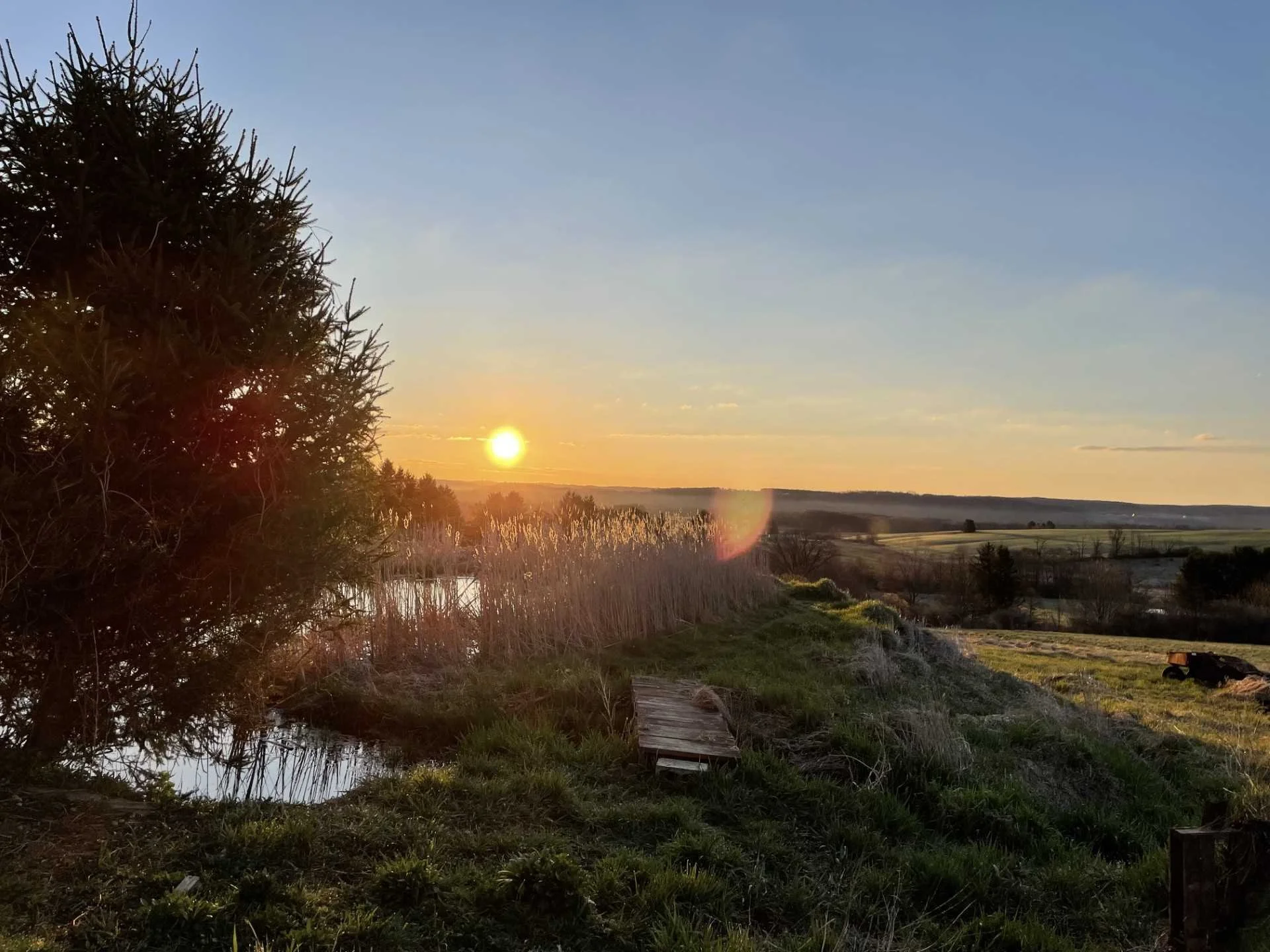 The Farm That Waited for Me