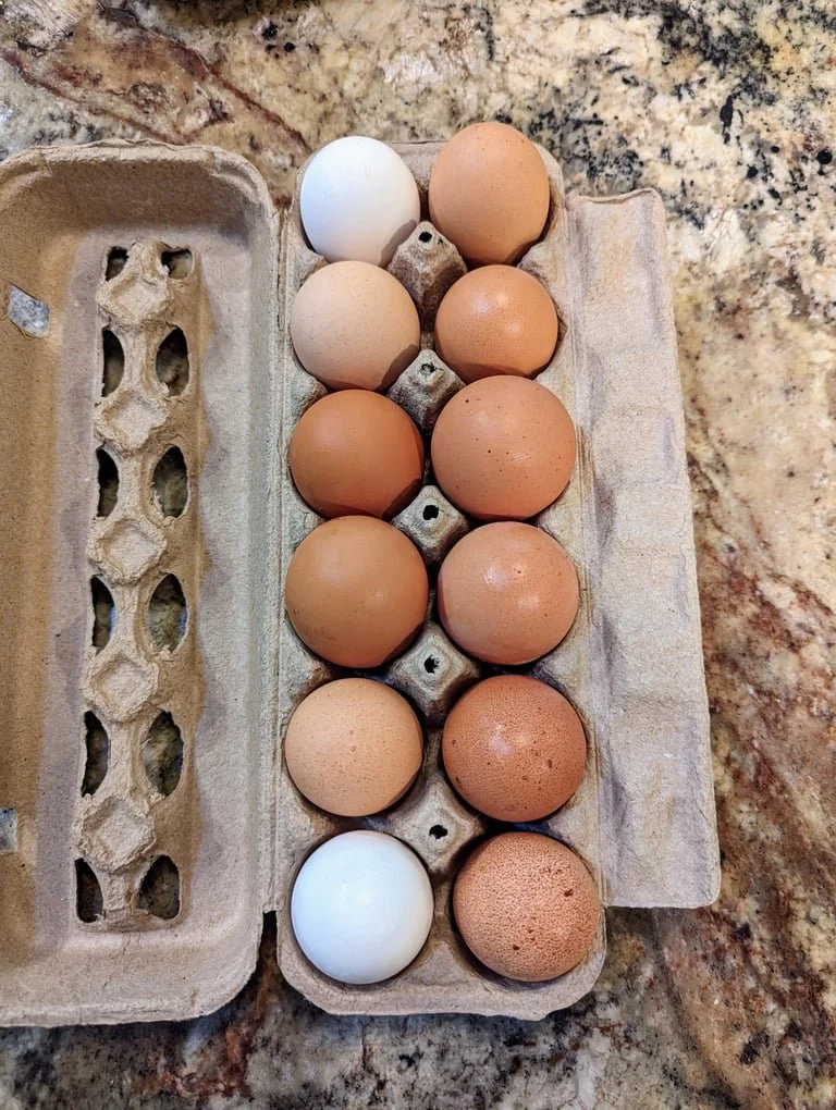 Brown Eggs