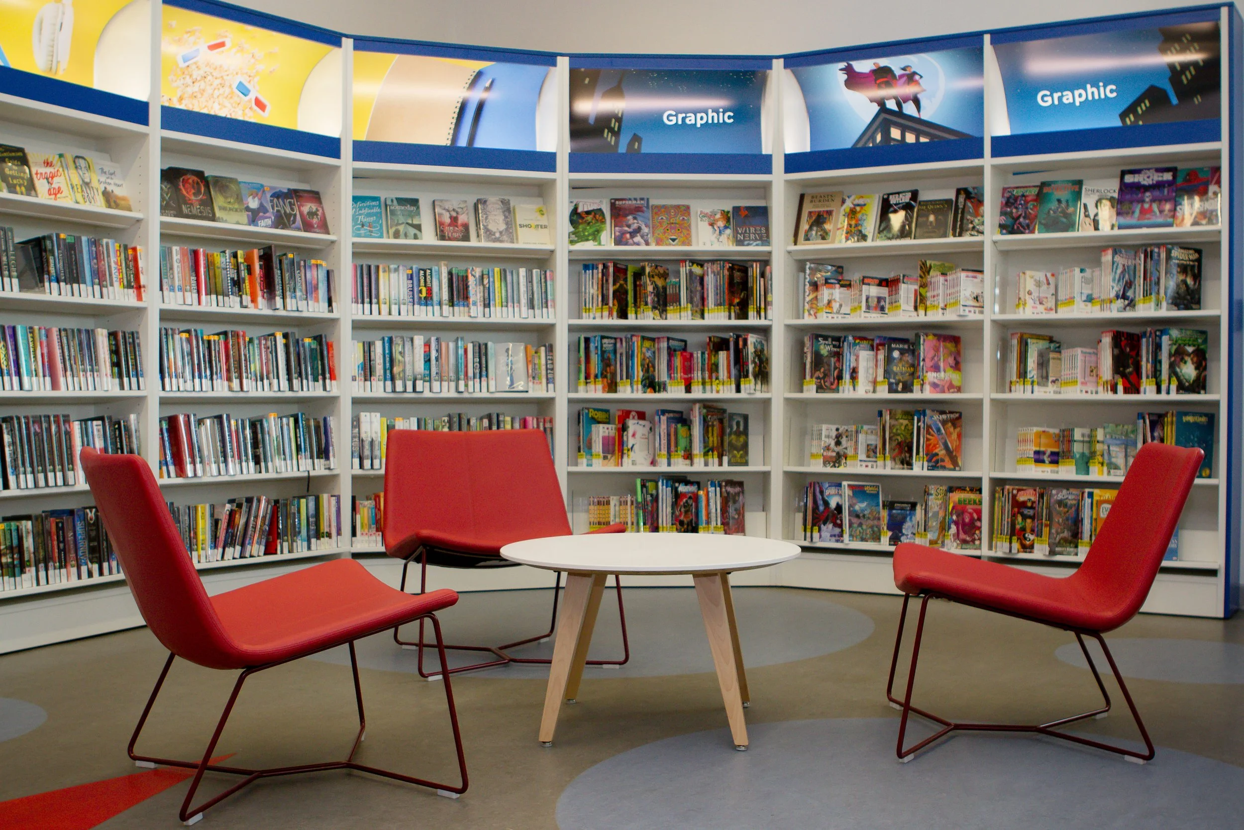 Public Library Installs