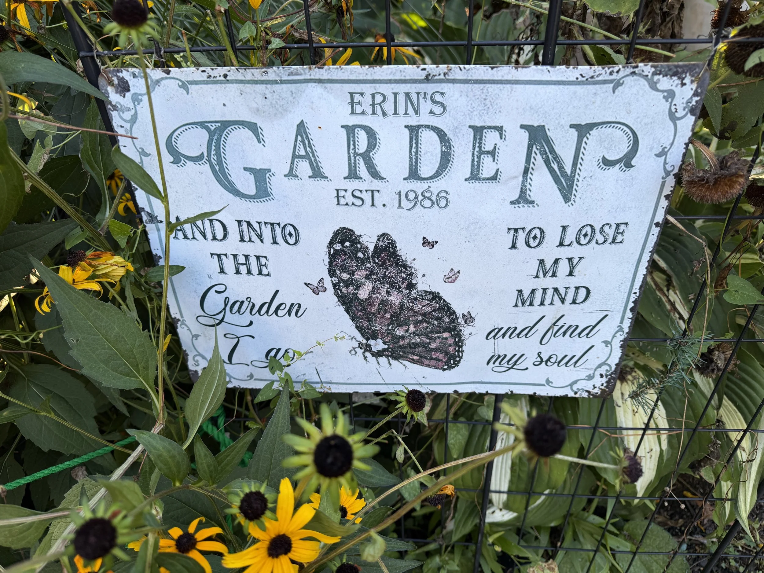 JUST A MOMENT: THE GARDEN IN US