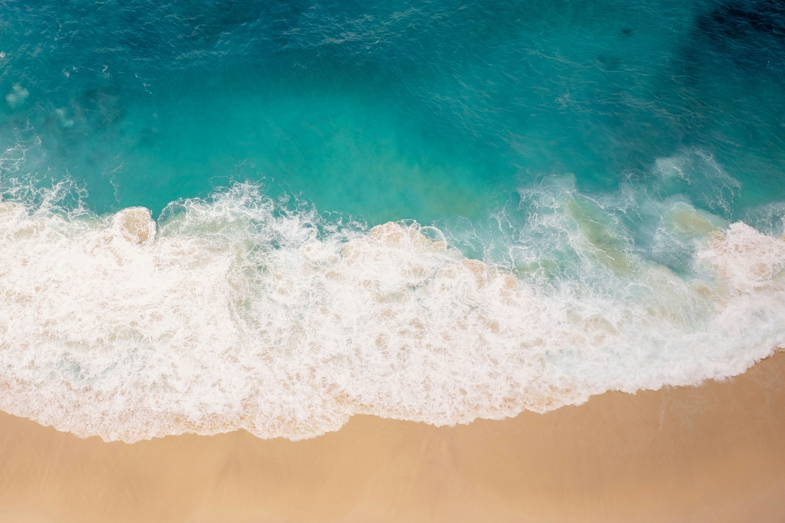 THE SAND AND THE FOAM