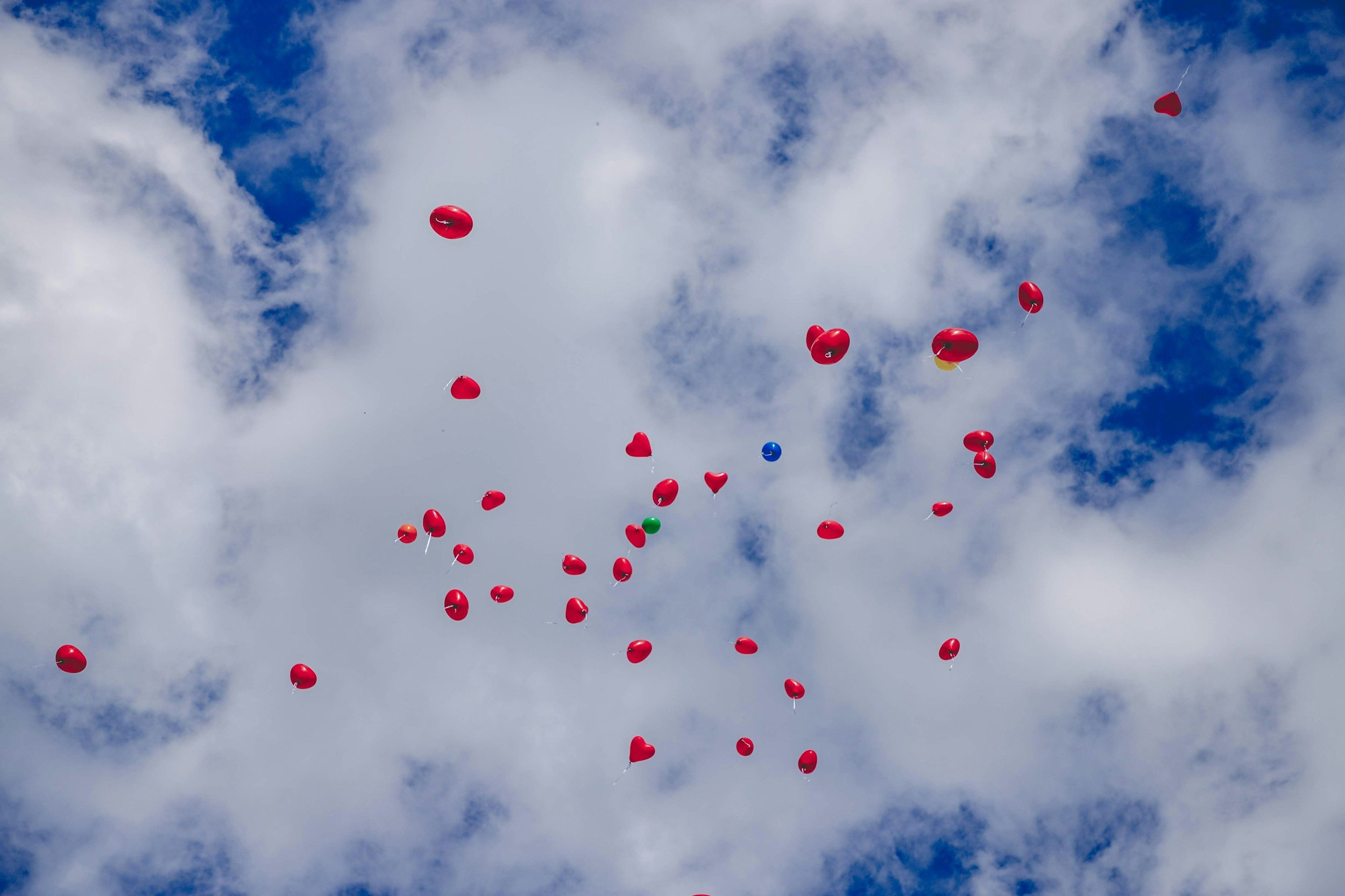 LOVE LIBERATES