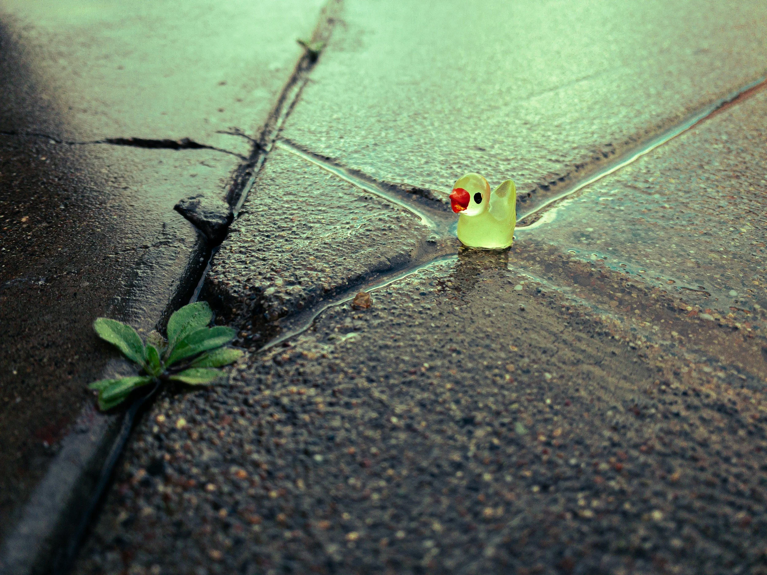 JUST A MOMENT: MORE THAN A CRACK