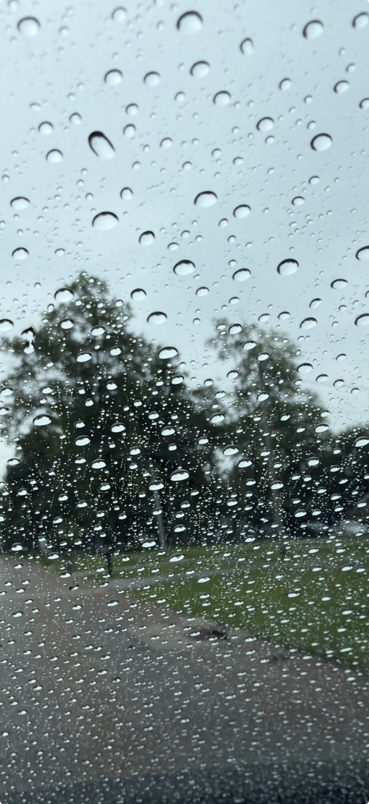 WINDOW WEEPING