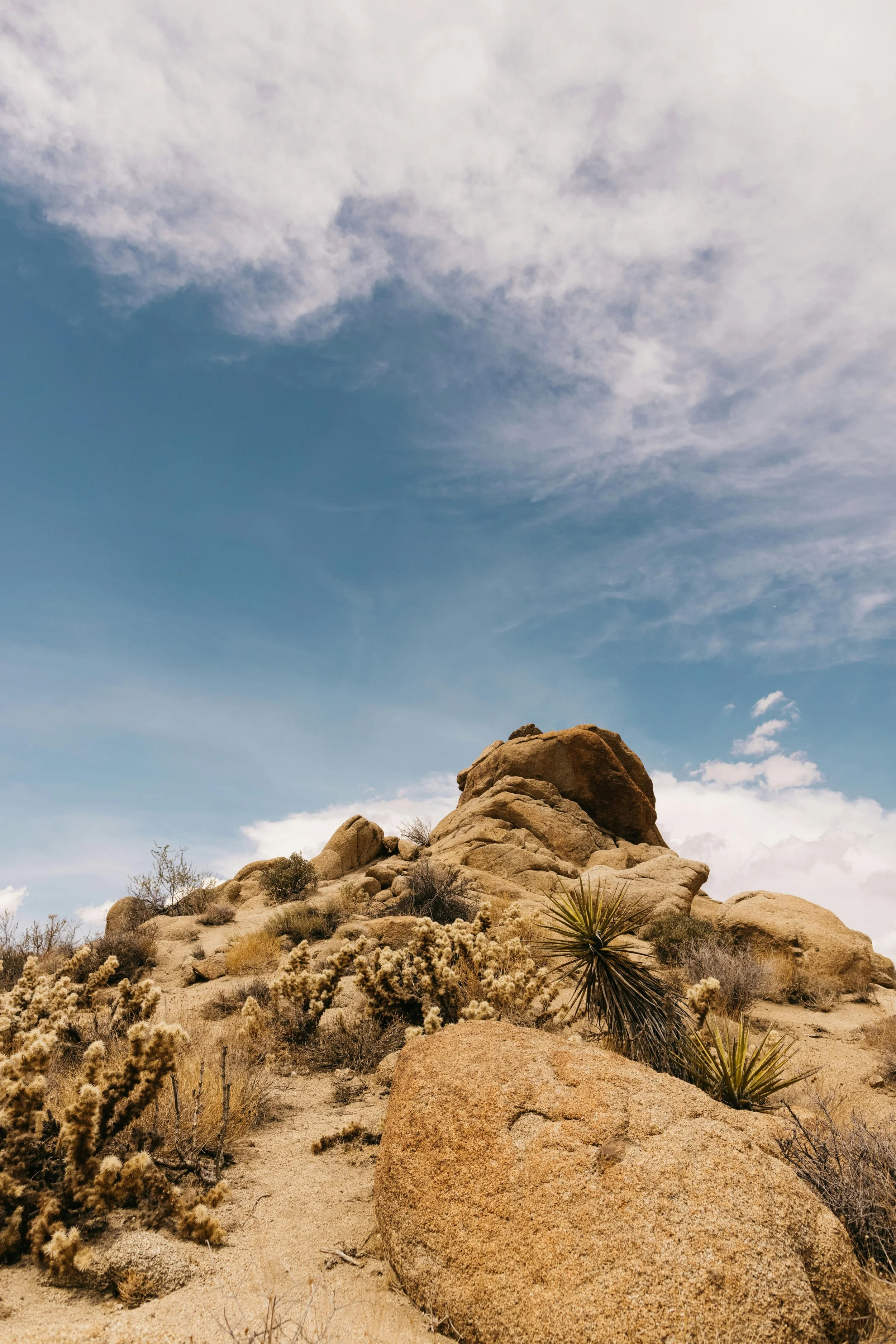 Practicing nervous system regulation and nature walks, retreats and travel