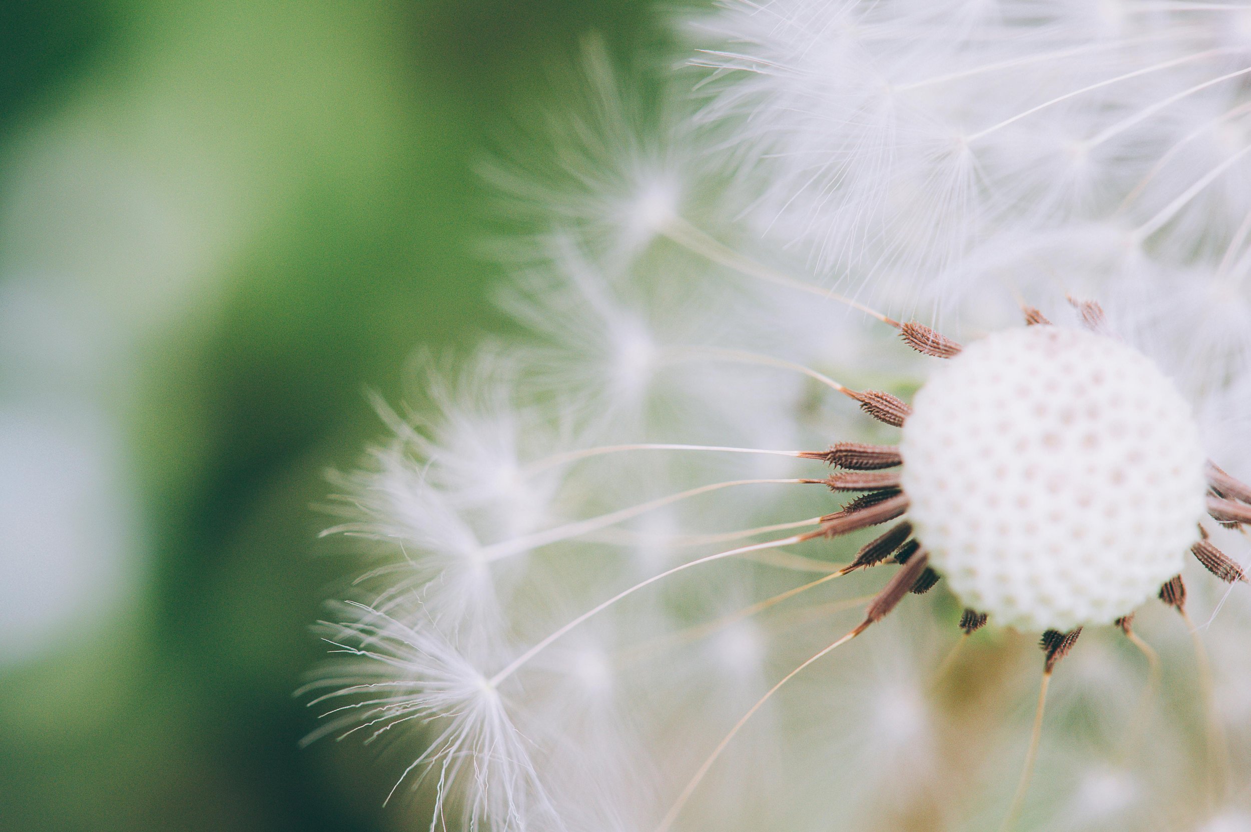 menopause protocol and nervous system regulation