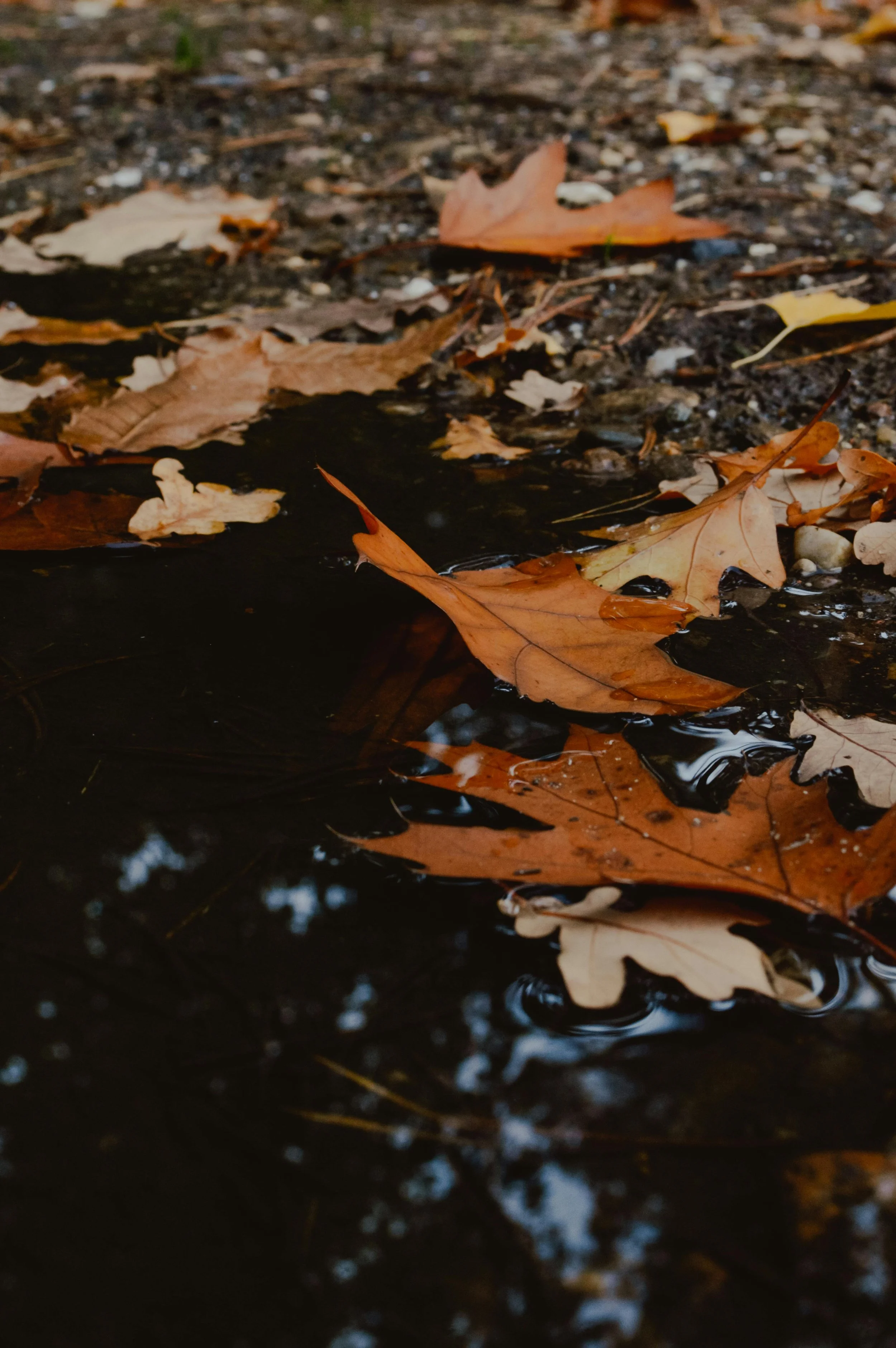 practicing mindfulness and burnout prevention