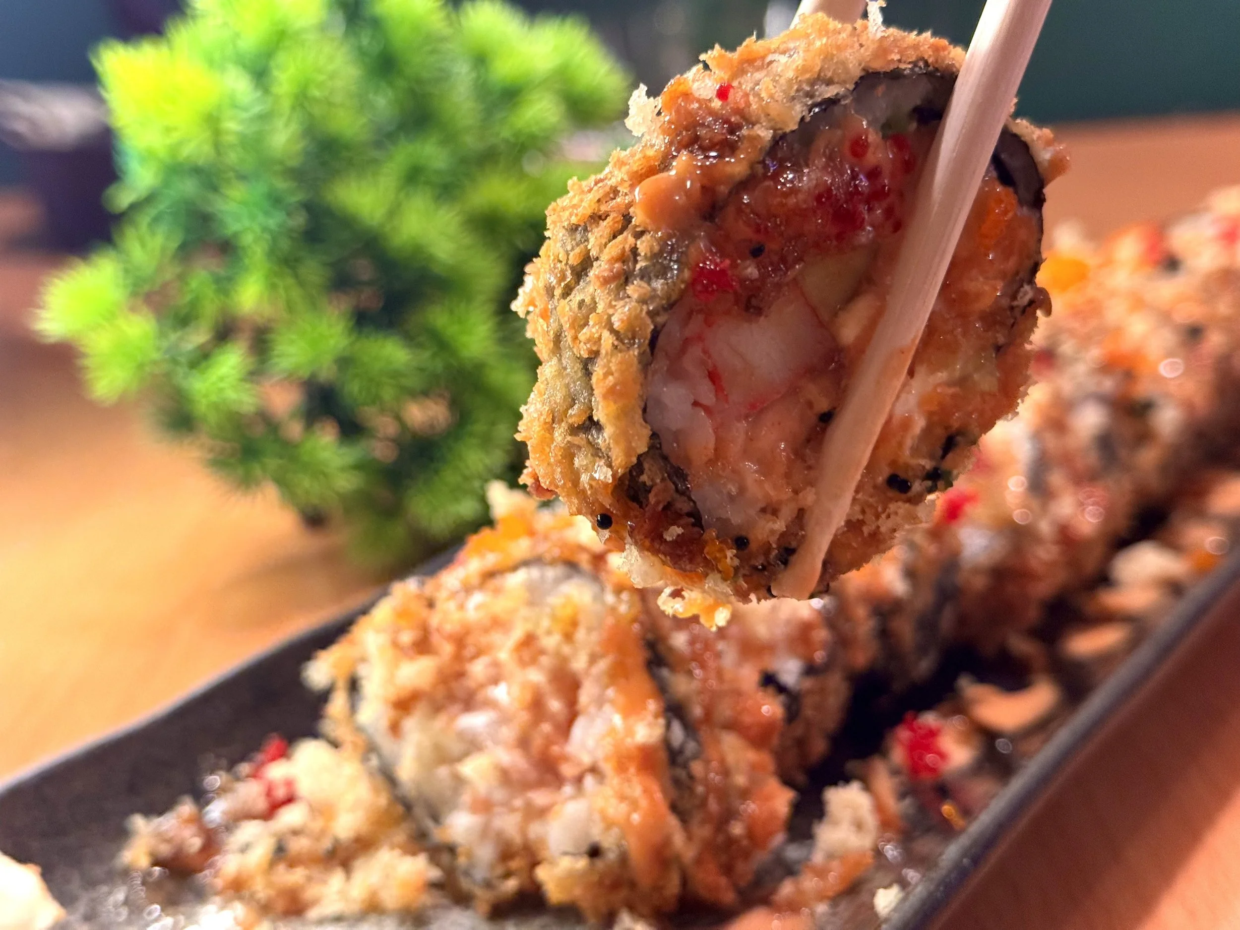Close-up of a piece of fried sushi roll with seafood and sauce, held with chopsticks over a serving plate with more sushi rolls and a green plant in the background.
