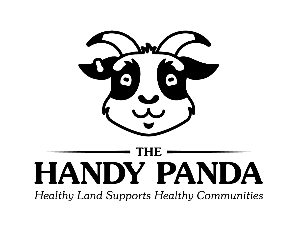 The Handy Panda