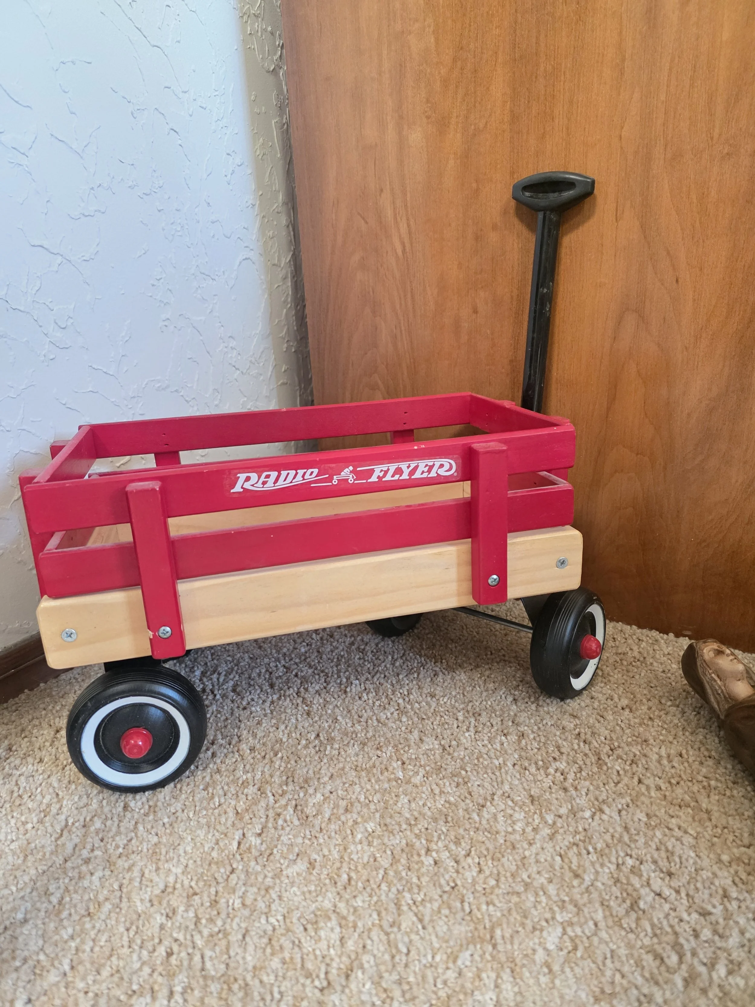 20260422_125037.jpg