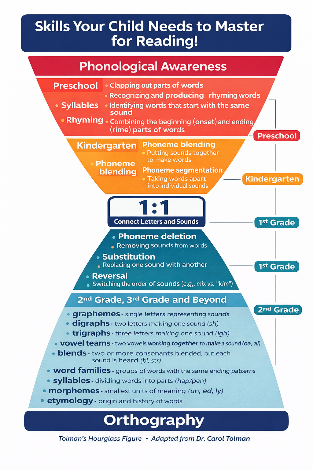 Diagram illustrating skills children need to master reading, categorized by developmental stages from preschool to beyond 3rd grade. Topics include phonological awareness, phoneme blending, connecting letters and sounds, and advanced phonics concepts like digraphs and word families.
