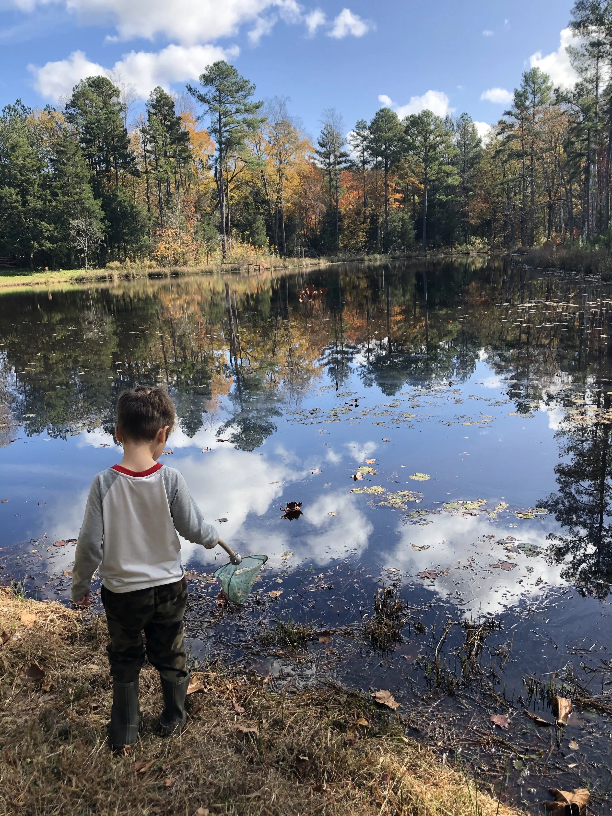 Q’s newest hobby is catching tadpoles.  :)