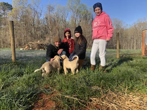 Wellness Wednesday- The positive Impact of Pets 