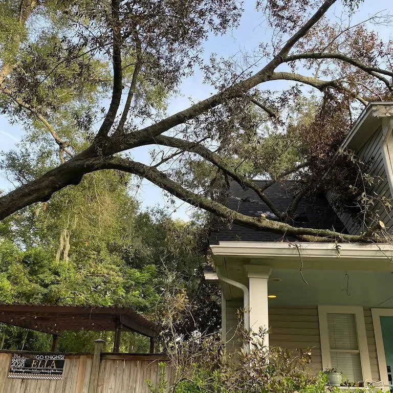 Top 5 Destroyers of a Home