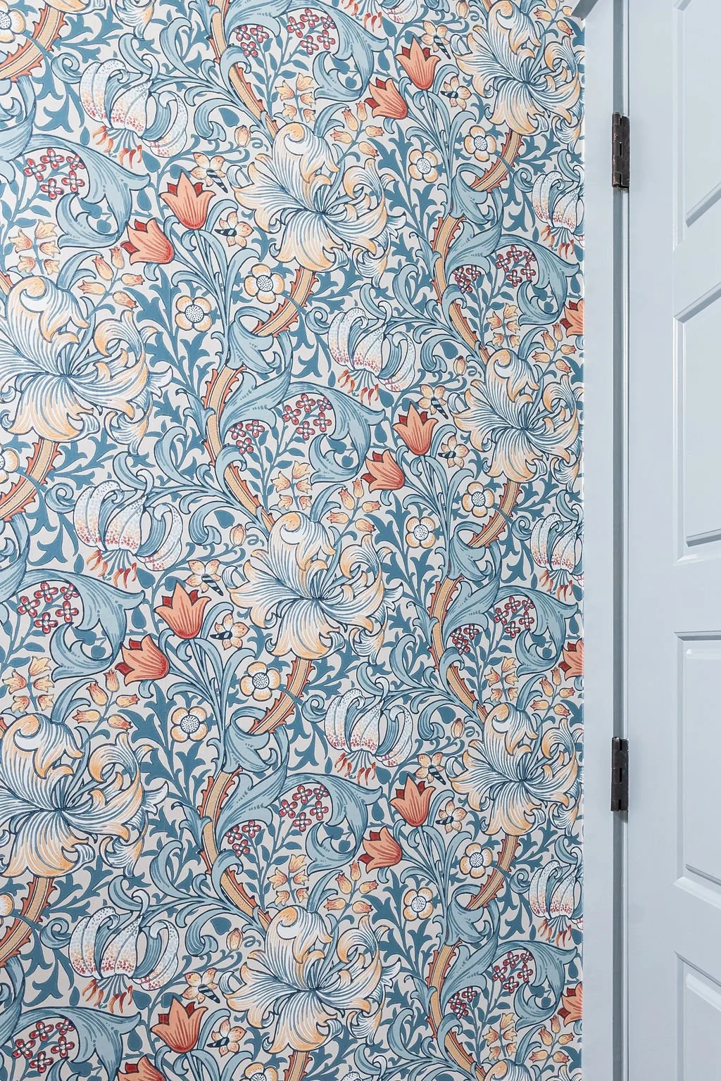 DSC09430.jpg
