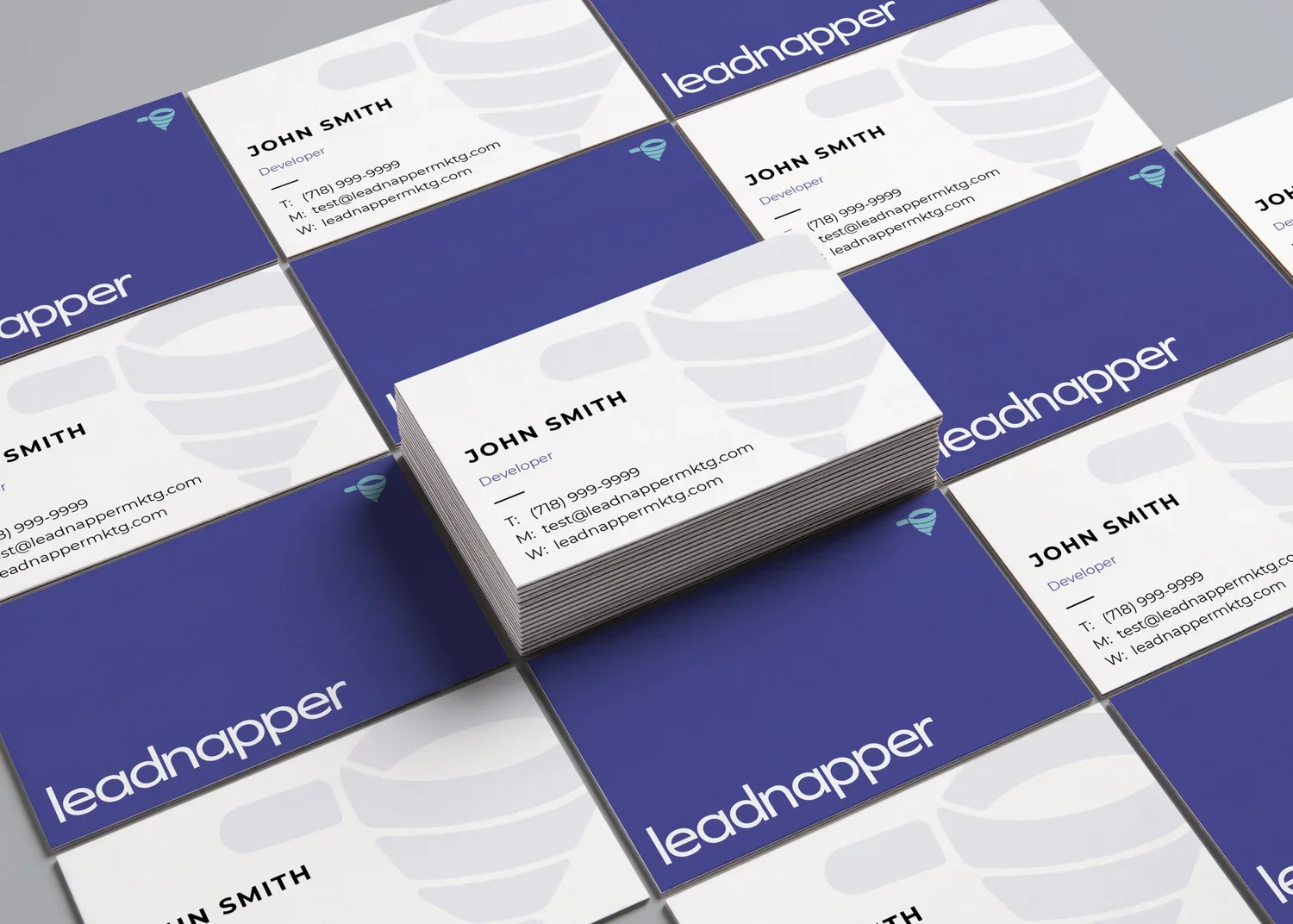 Leadnapper Marketing