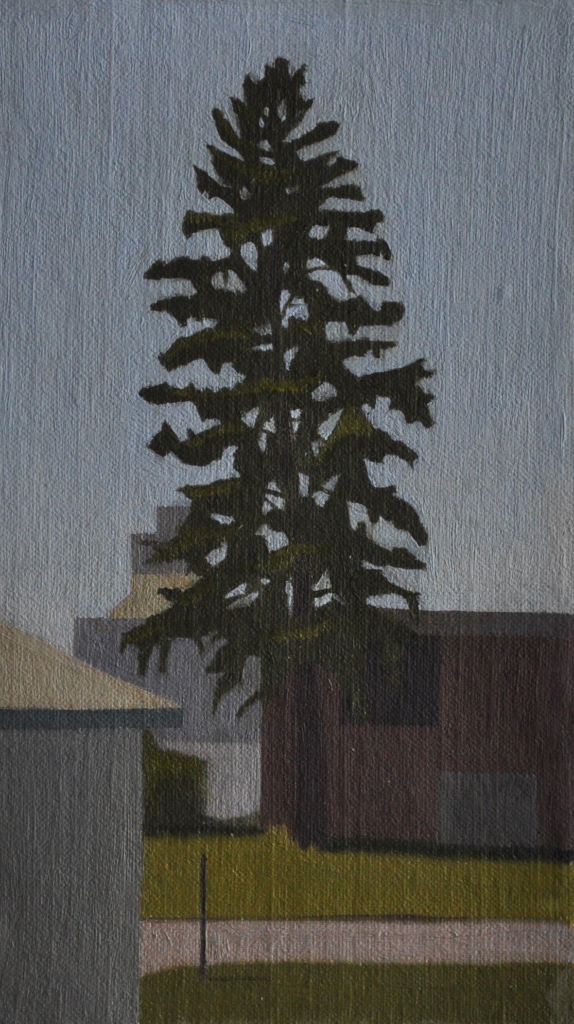 Pine Tree (Mid-Day), 2013