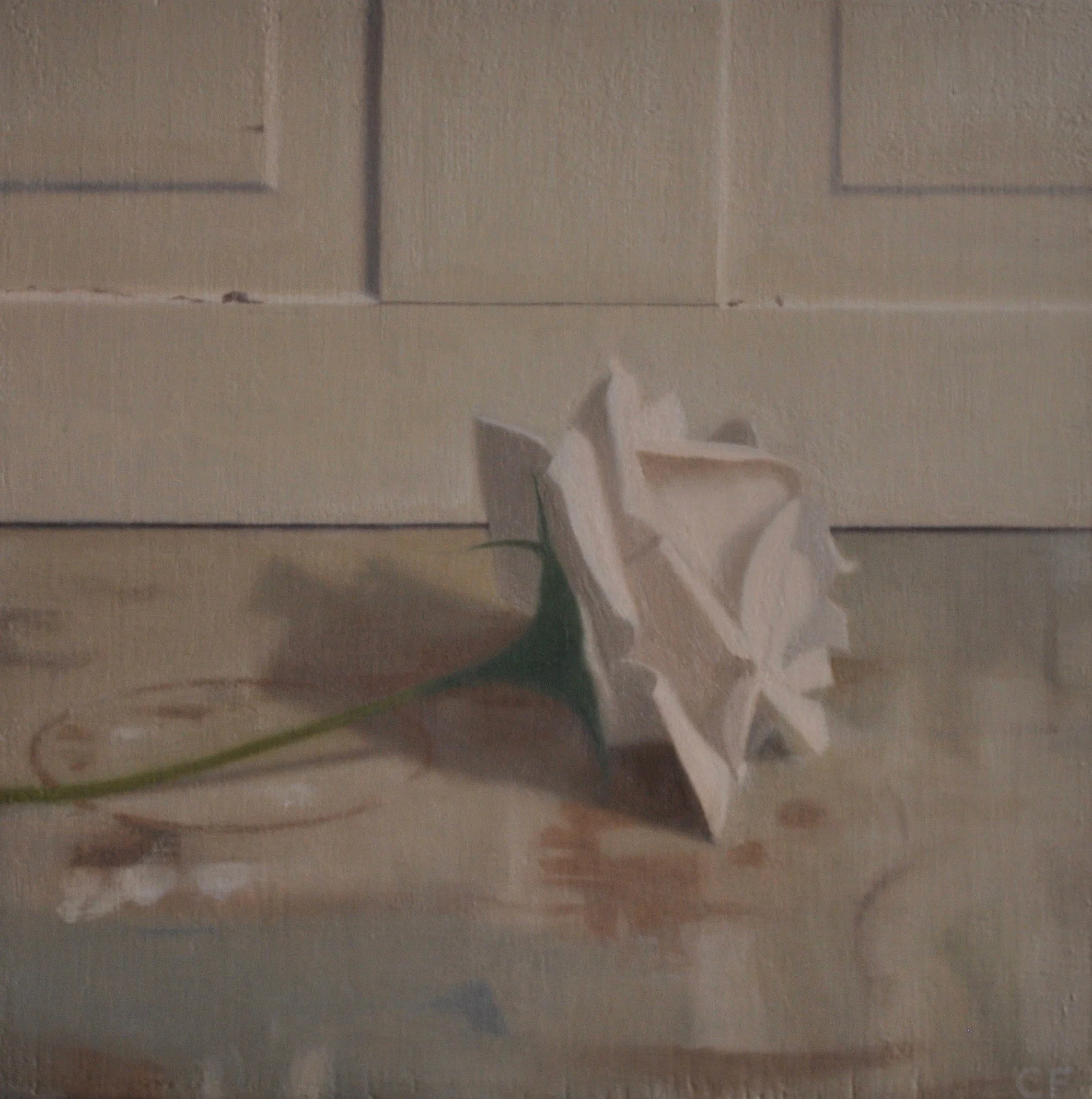 Silk Flower, 2010, 11 x 11”