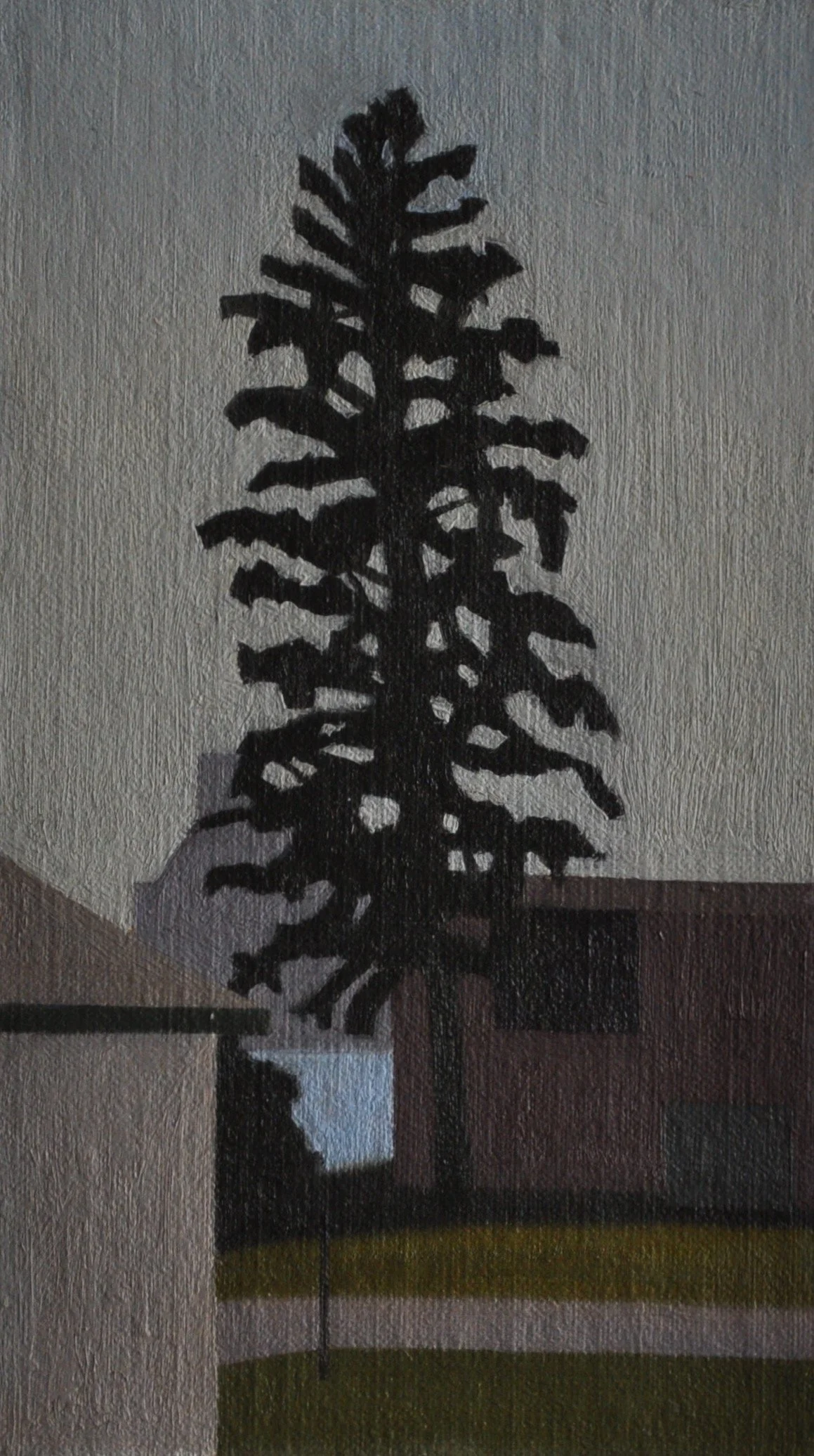 Pine Tree (Evening), 2013