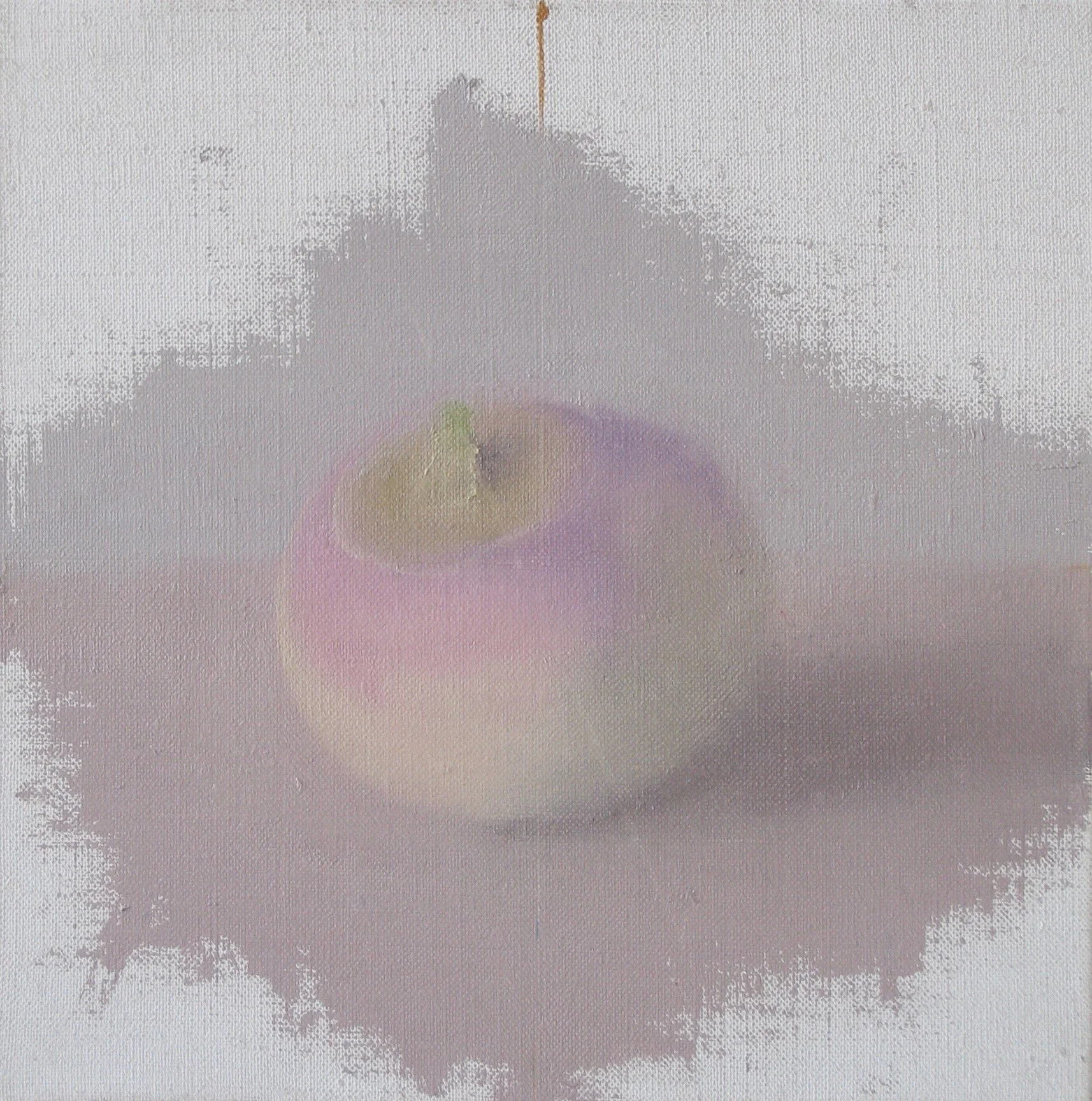 Olivia’s Turnip, 2005, 8 x 8”