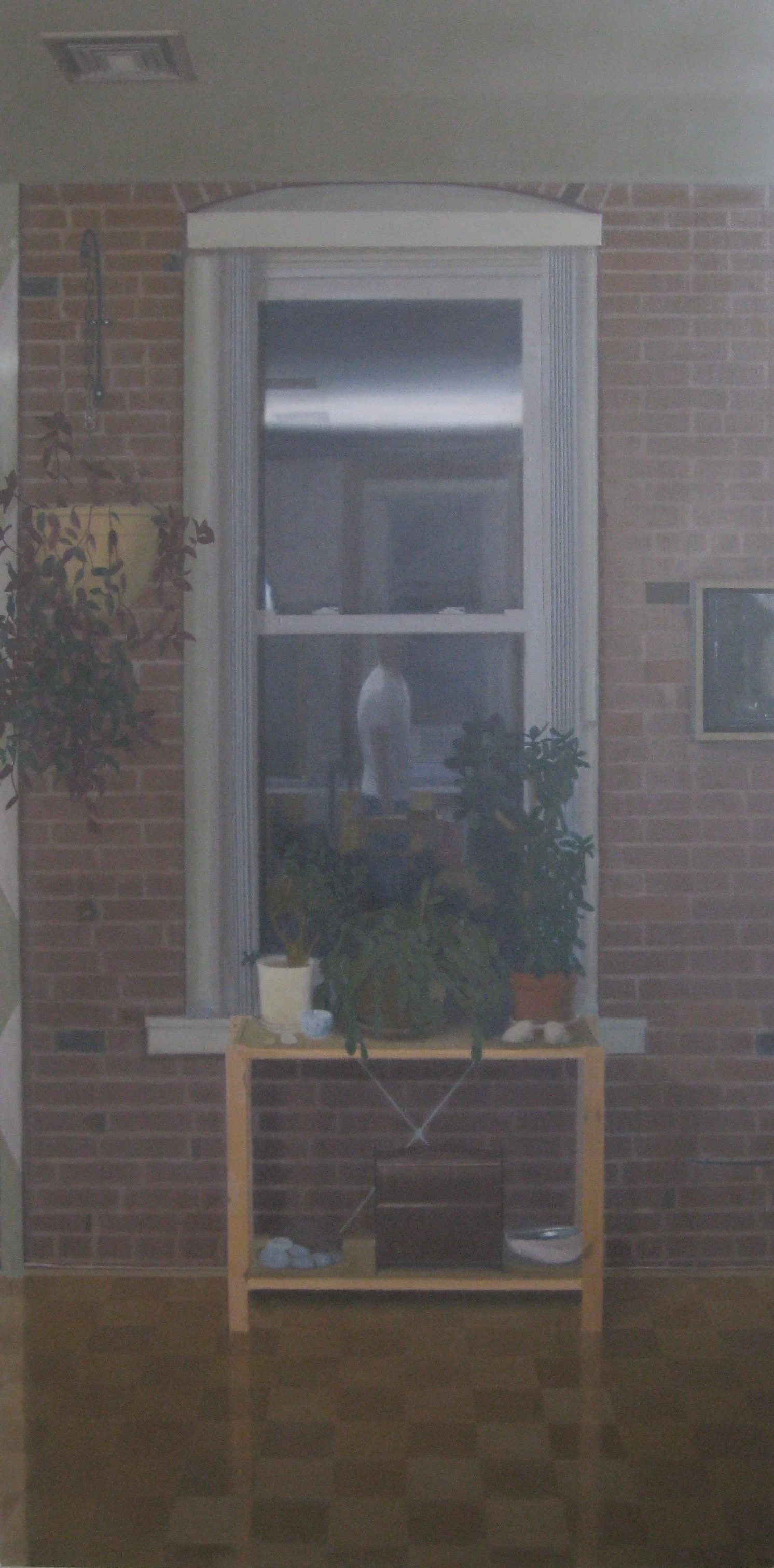 Window, 2006-7, 36 x 72”