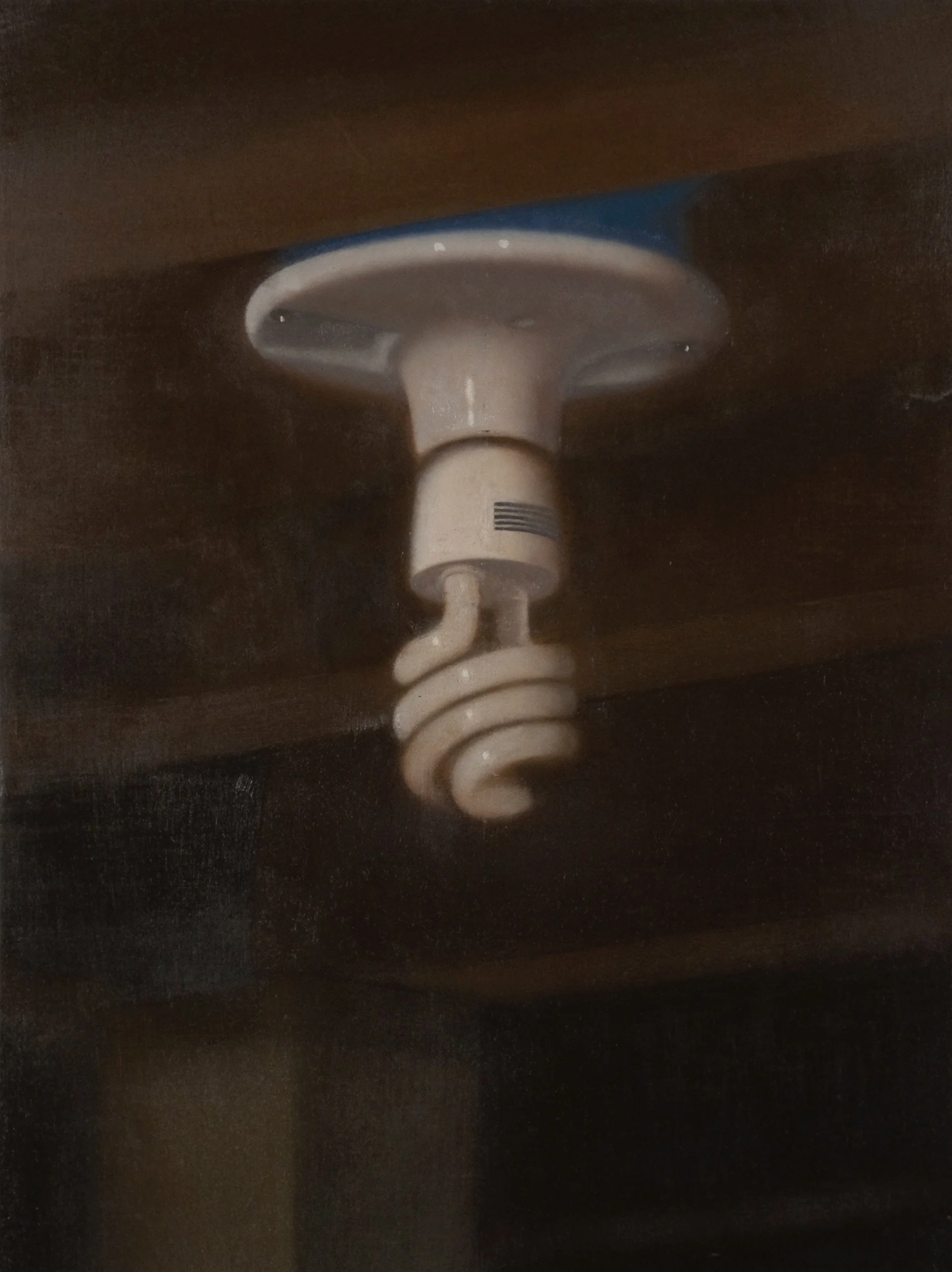 Light Bulb, 2011, 12 x 16”
