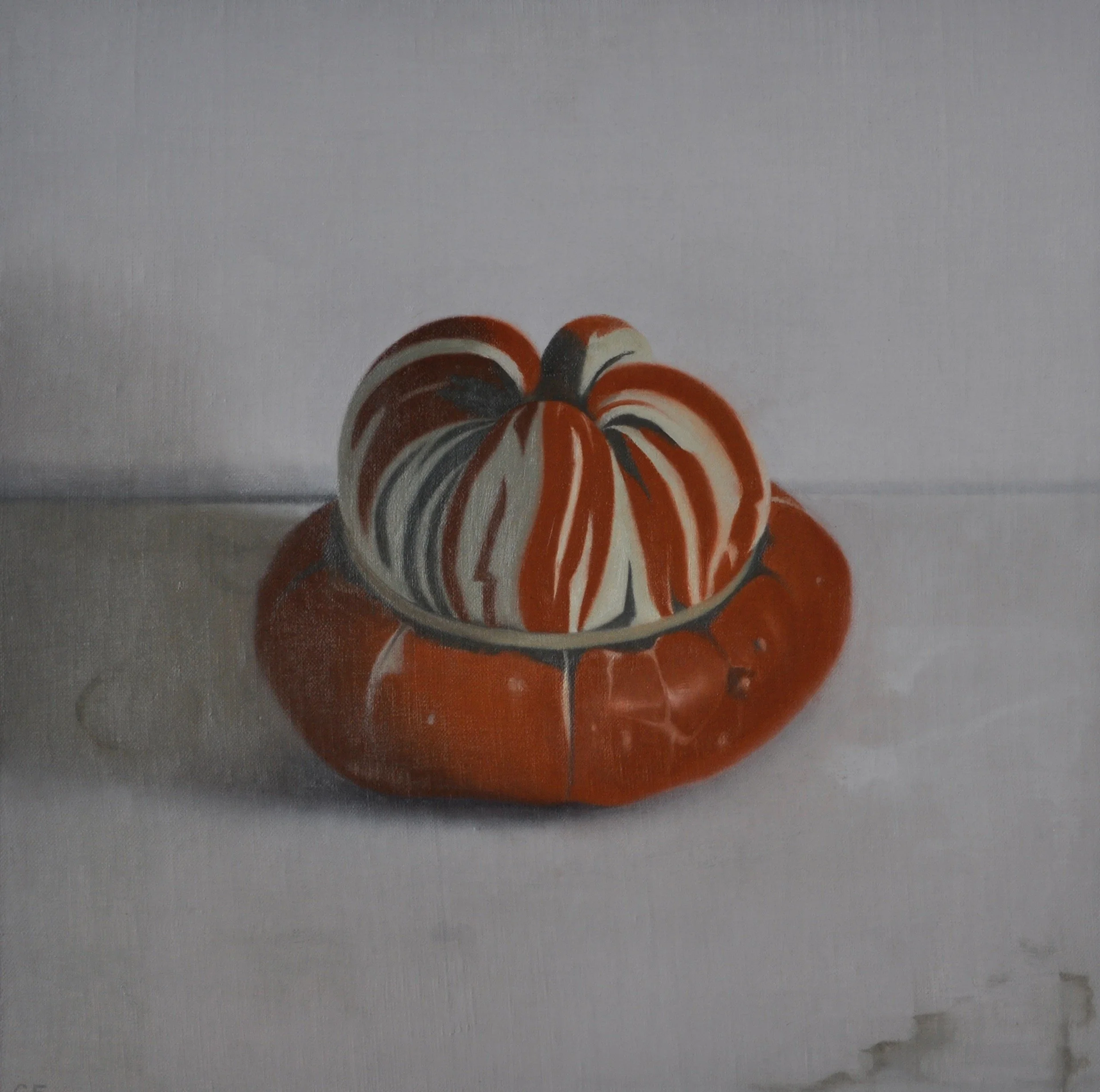 Turban Squash, 2009, 20 x 20”