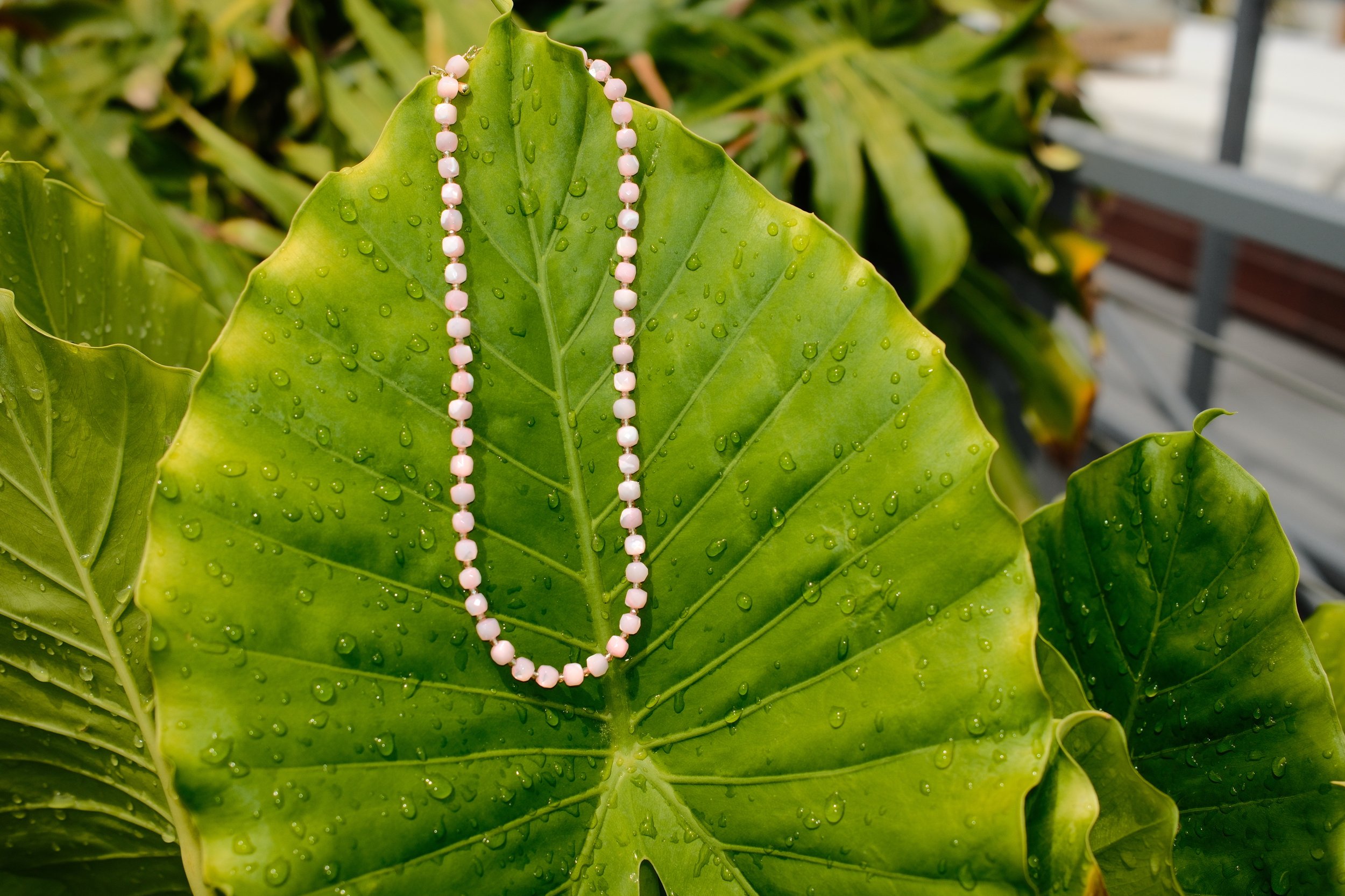 Mother of Pearl Shell Necklace