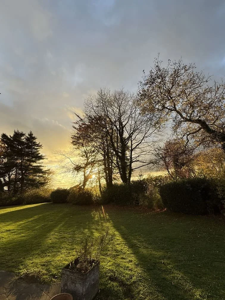 Ciel avec le soleil couchant derrière des arbres dénudés, ombres longues sur une pelouse verte.