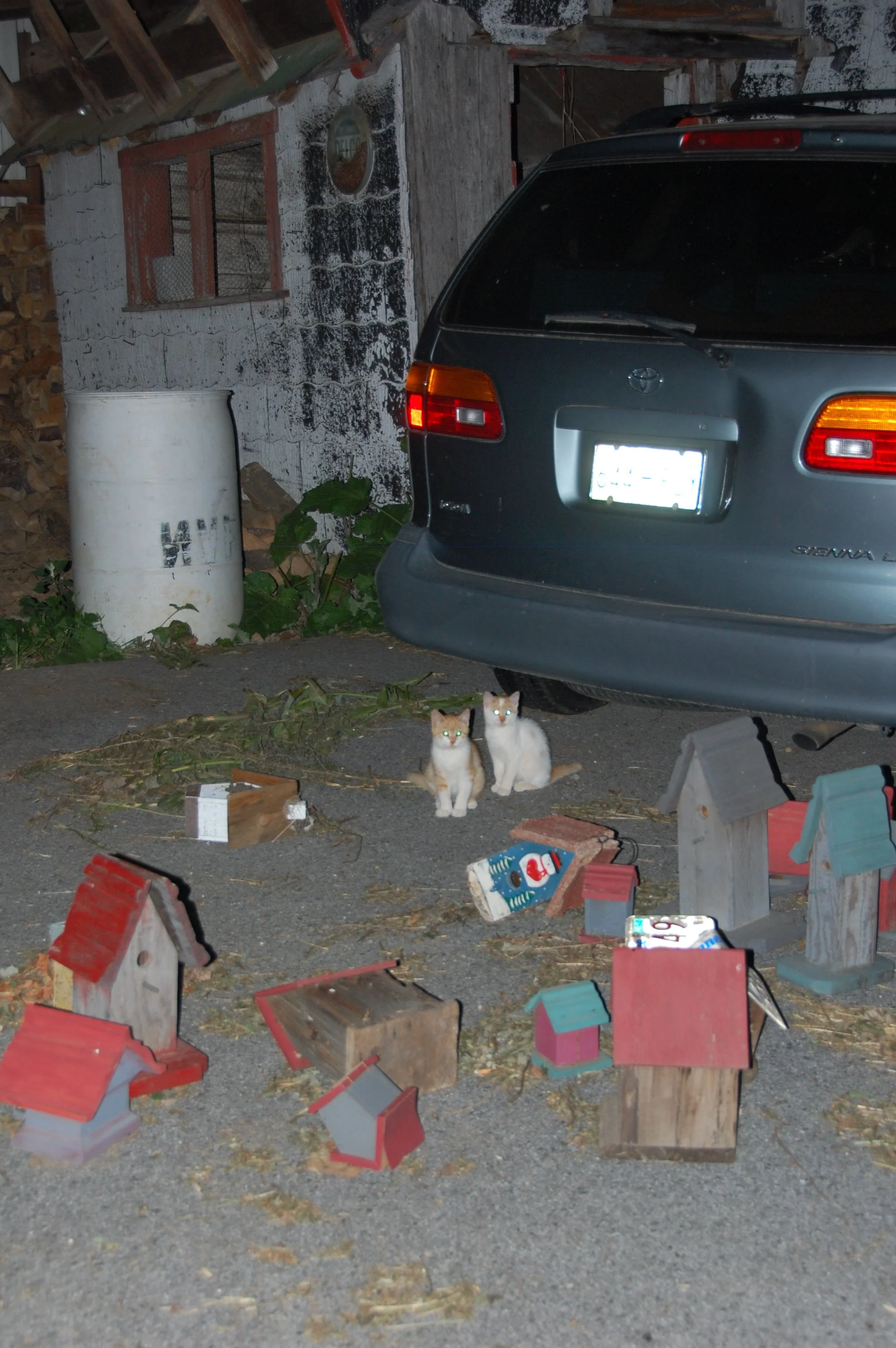 DSC_4103.JPG