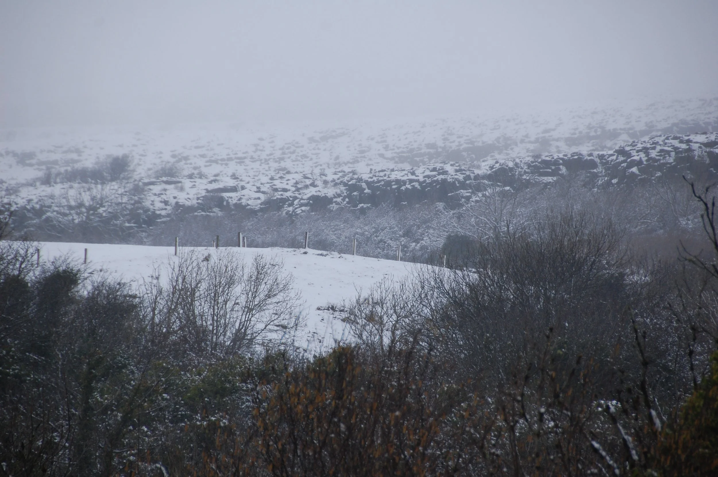 DSC_4012.JPG