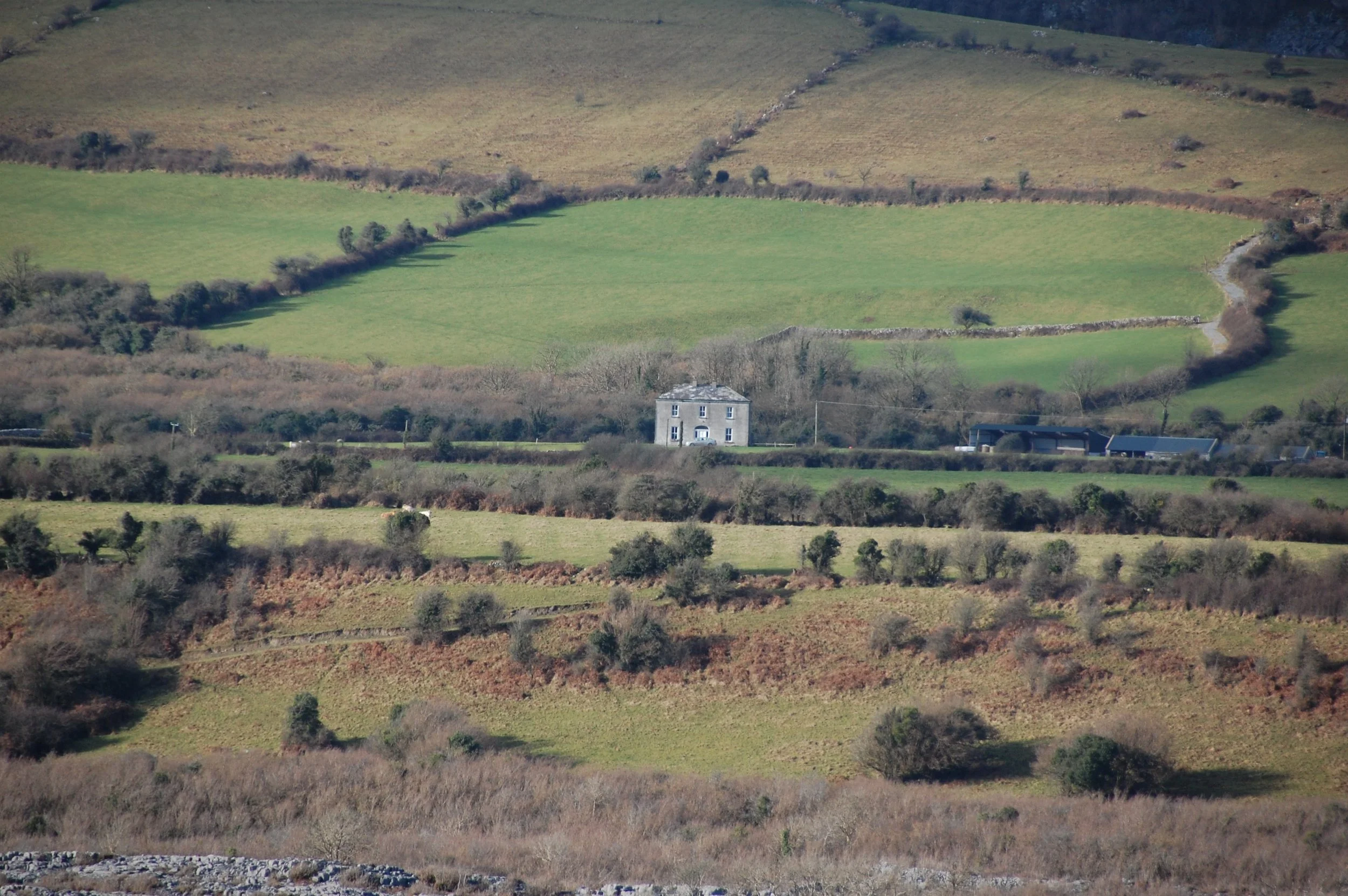 DSC_3733.JPG