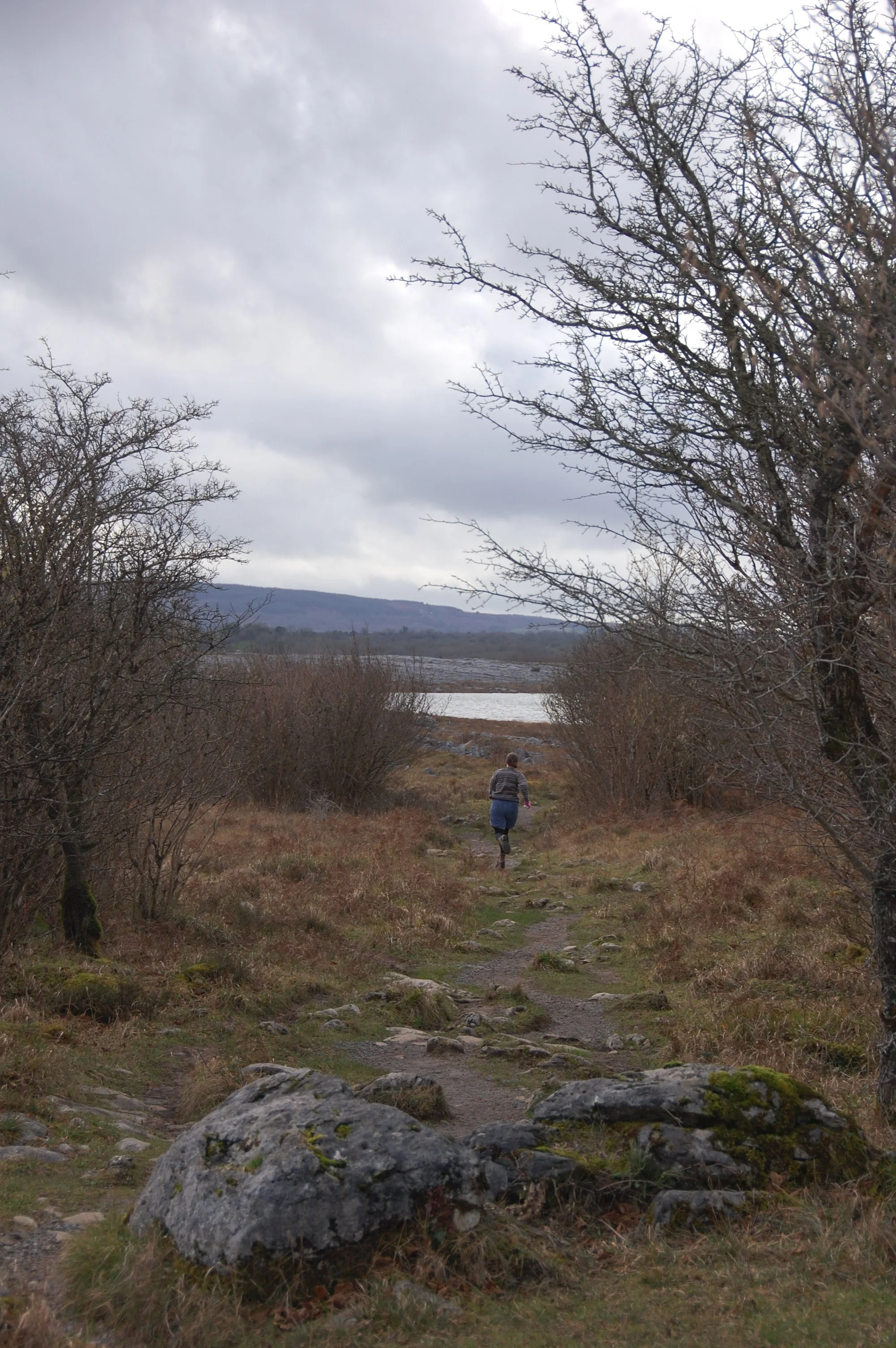 DSC_3757.JPG