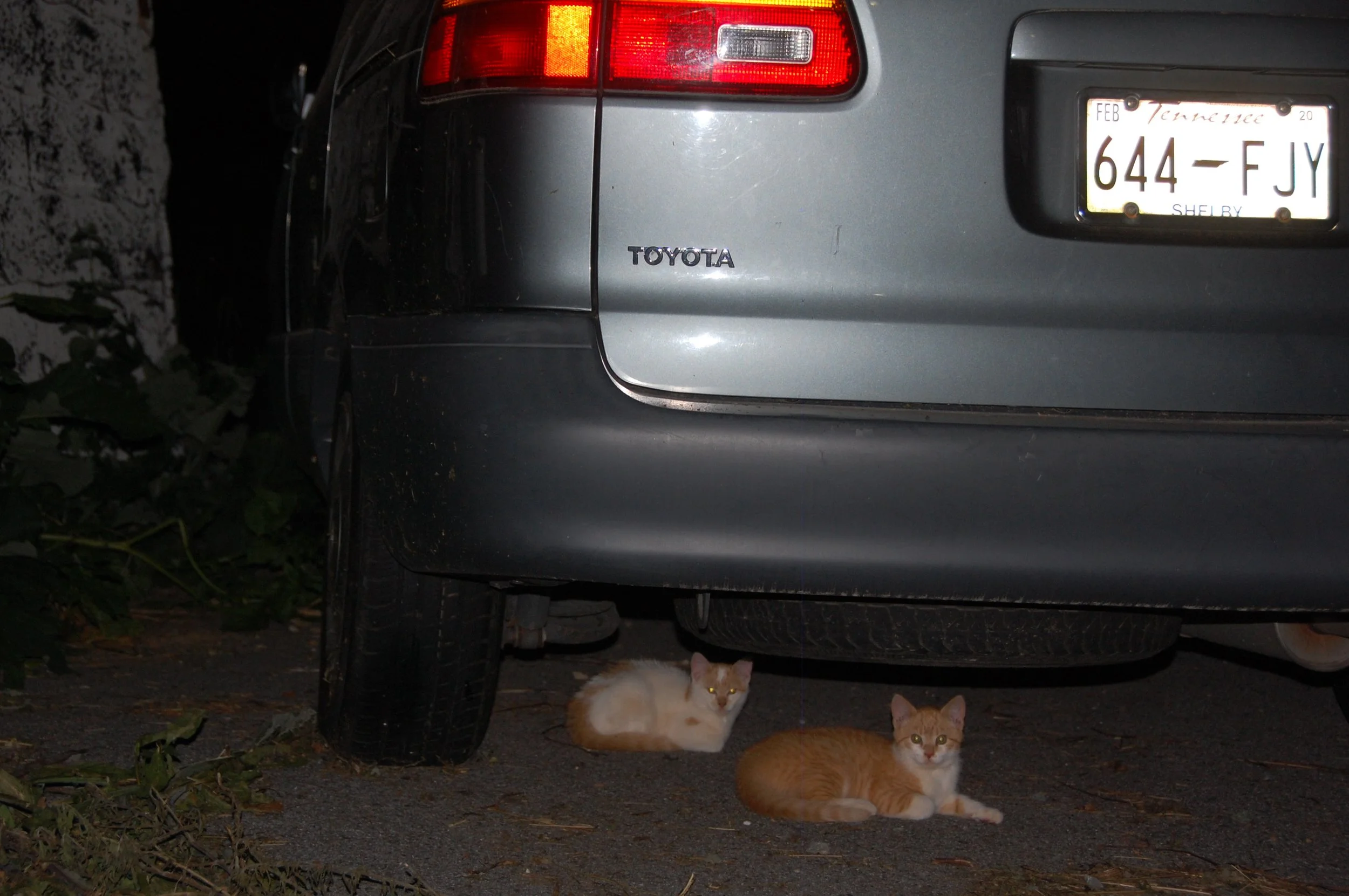 DSC_4107.JPG