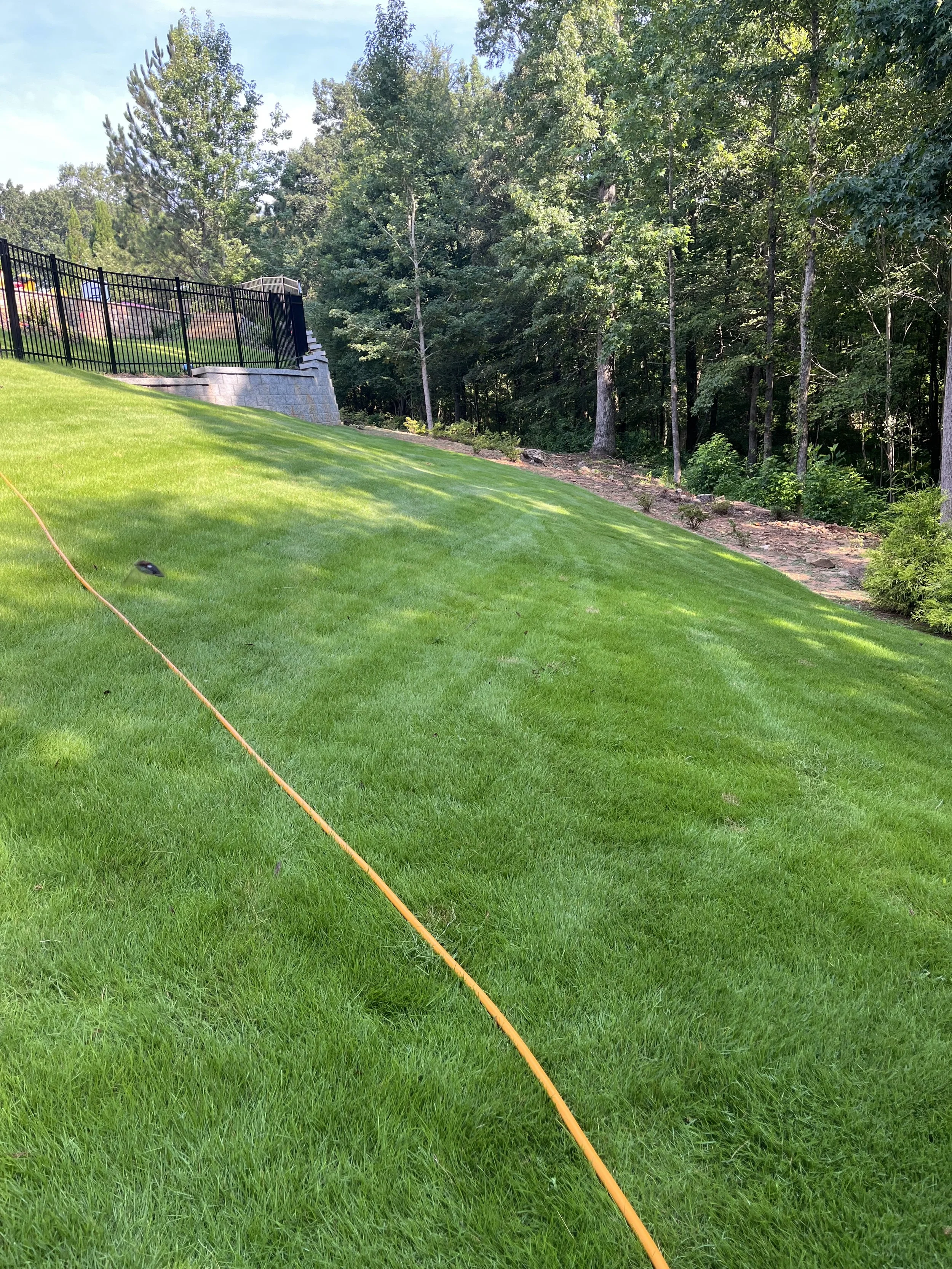 Green grassy lawn on a slope with a black metal fence at the top, trees in the background, and a garden bed along the side.