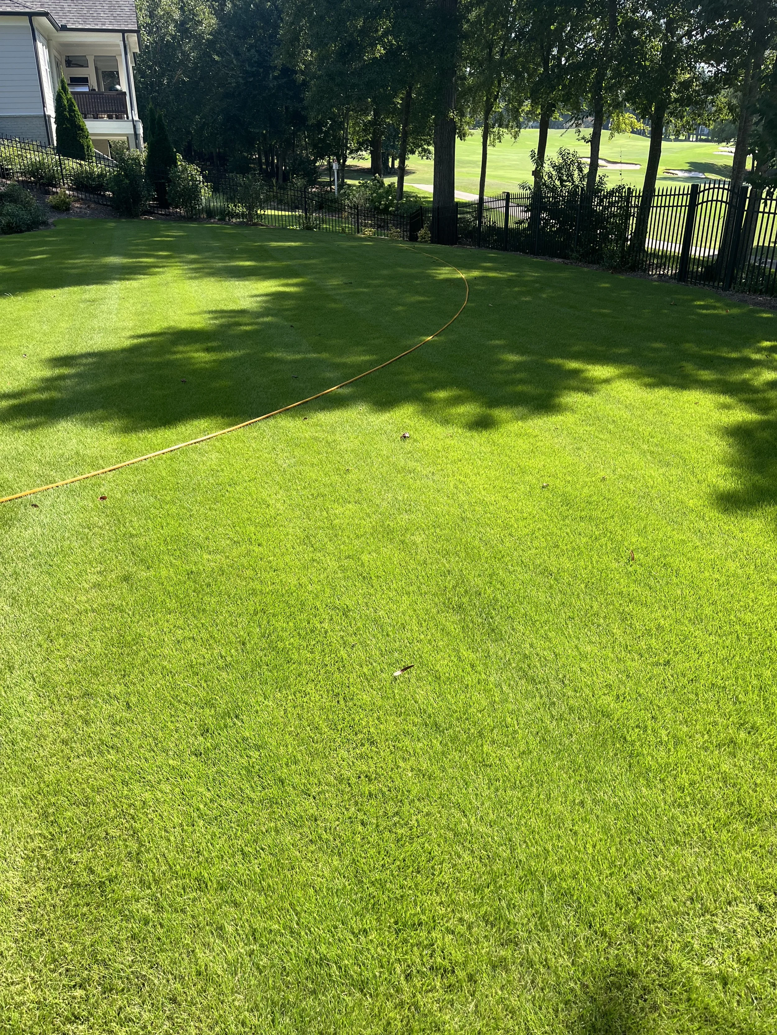 A well-maintained grassy backyard enclosed by a black metal fence, with trees providing shade. In the background, there's a house with a porch and a view of a golf course or open field.