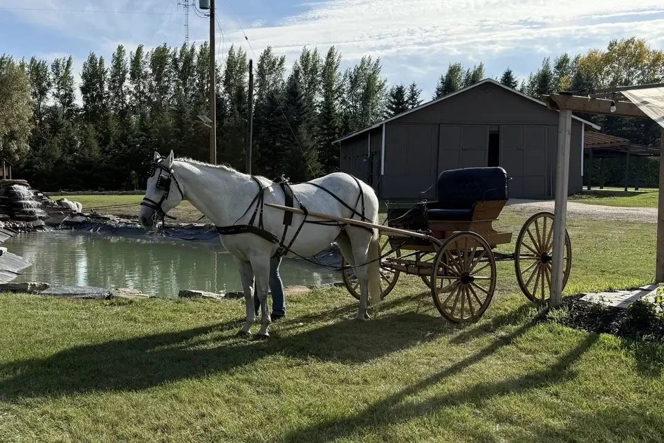 Image 12.jpeg