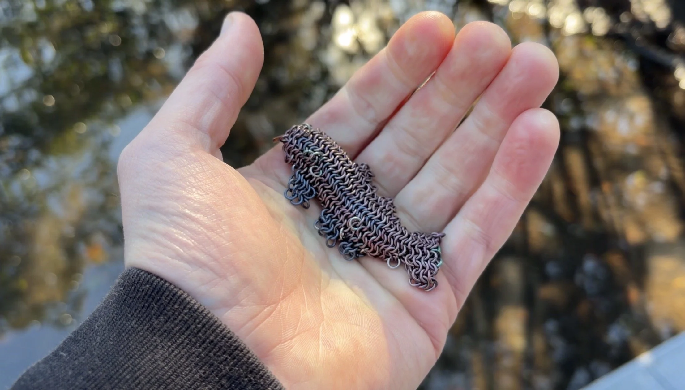 Titanium Trout in Sarasota light. Reminds me of a haiku: 

           A school of ayu/
           passing before me/
           the color of water