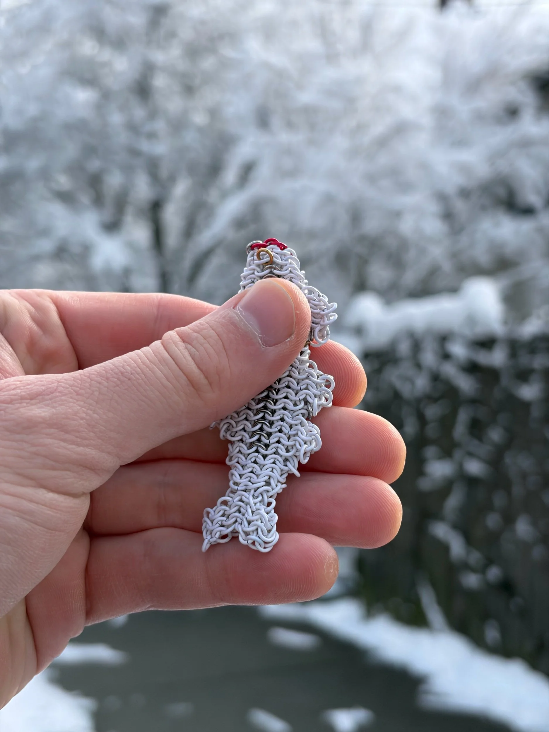 Bone Trout in the snow on the hill, Massachusetts.