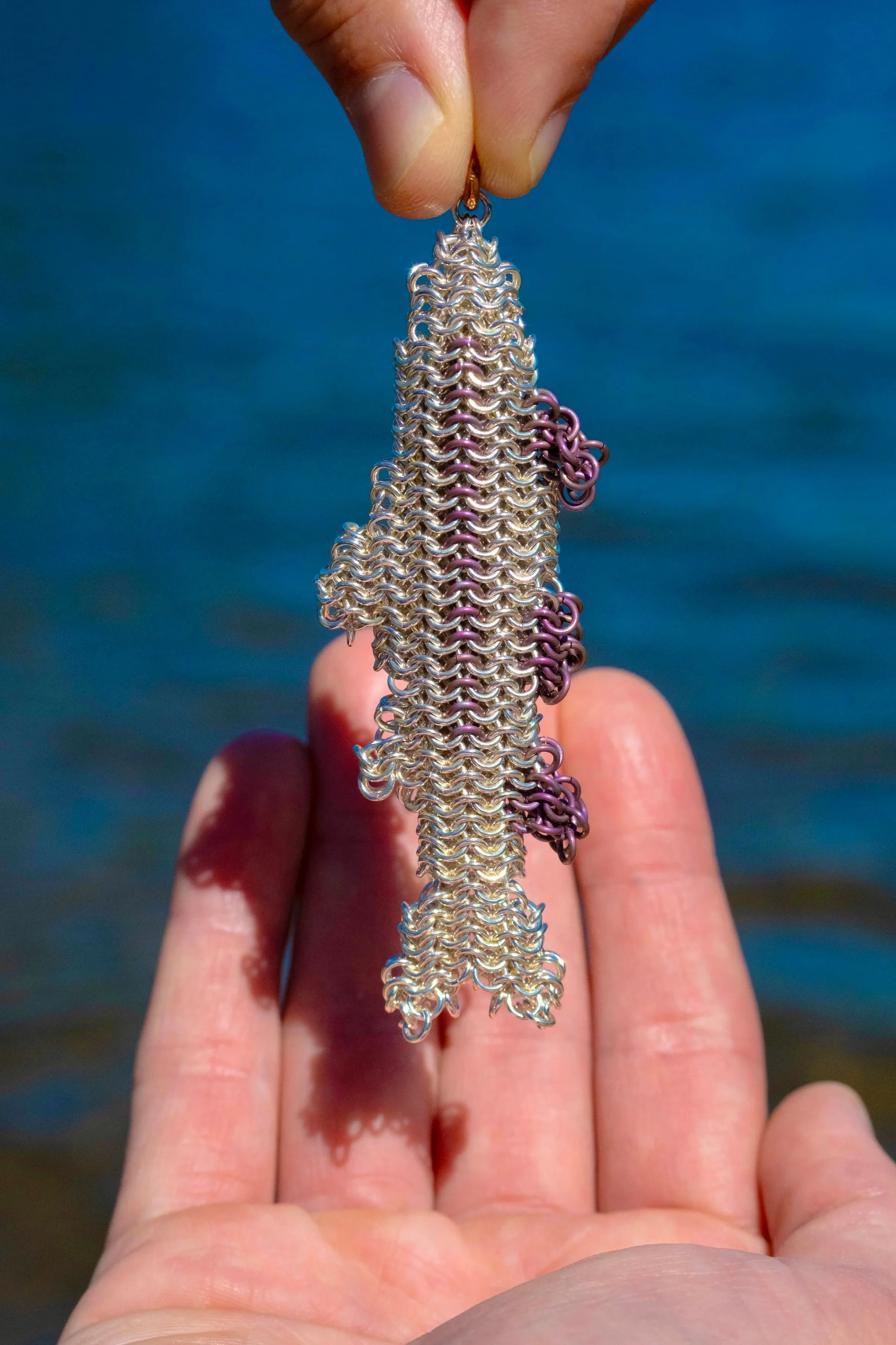 DSCF8943.jpg