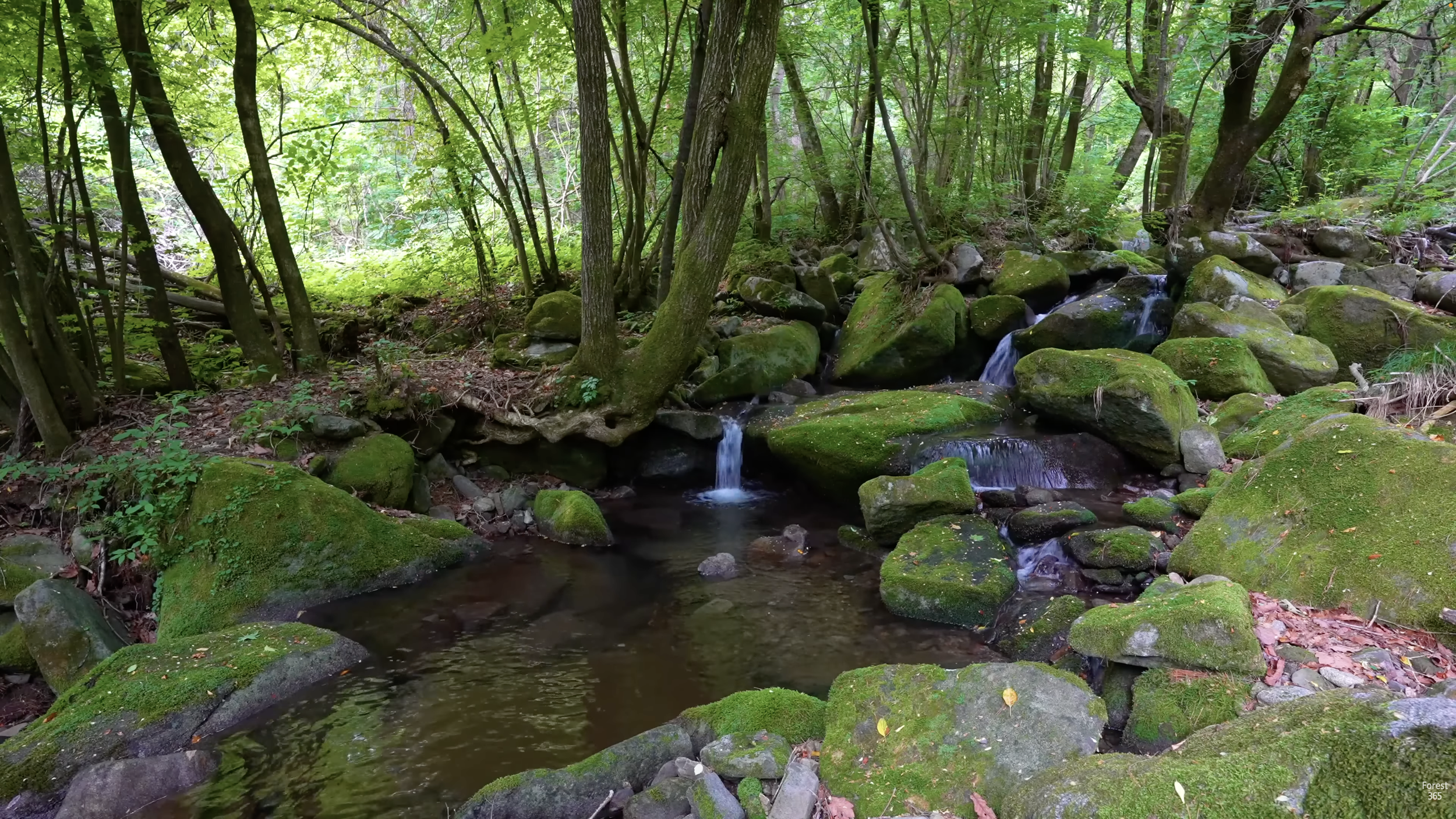 Screenshot 2026-01-28 at 7.16.08 PM.png