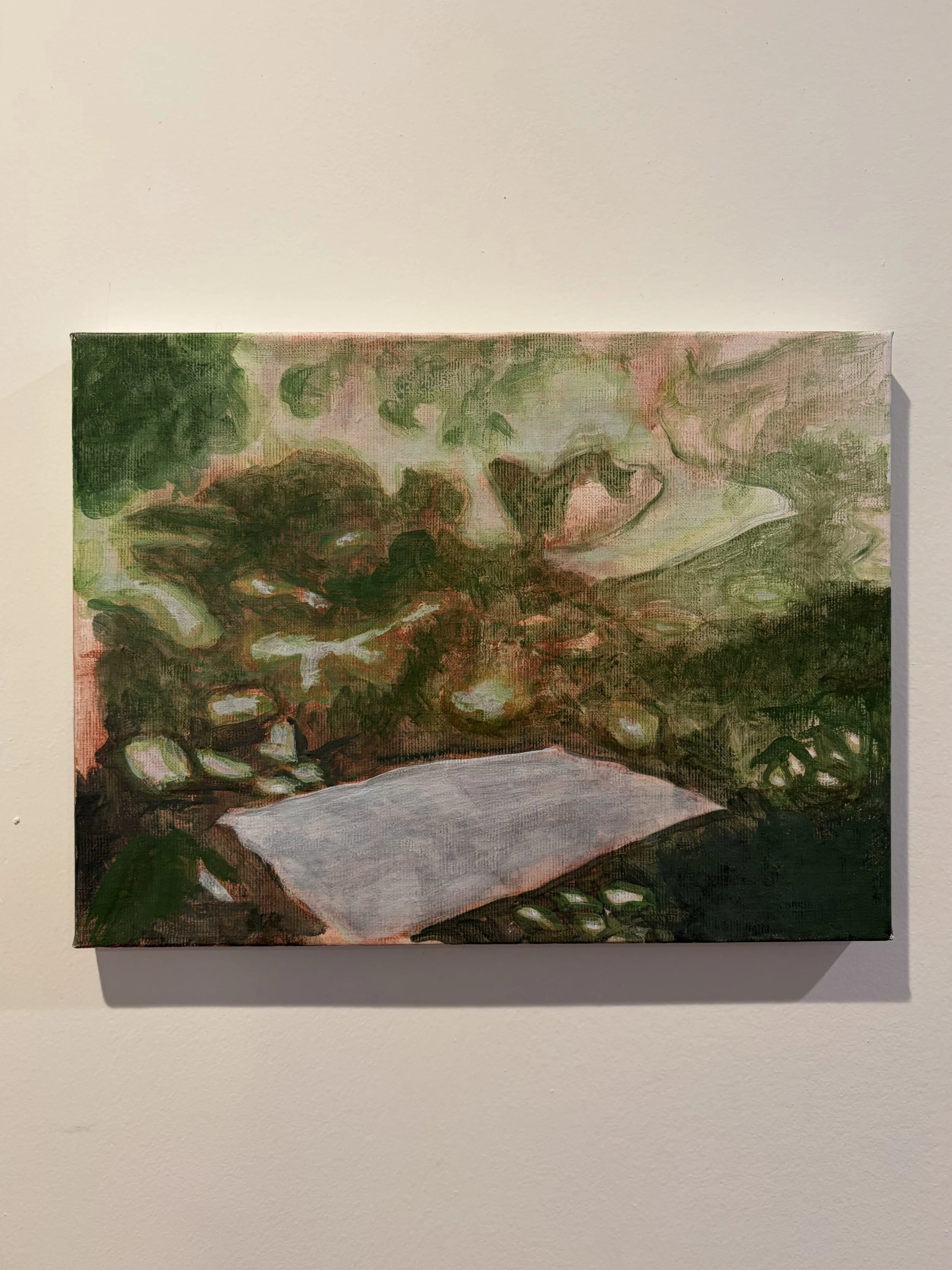 Picnic Aquarium, 2025
Acrylic on linen
9 × 12 in. (35.6 × 27.9 cm)