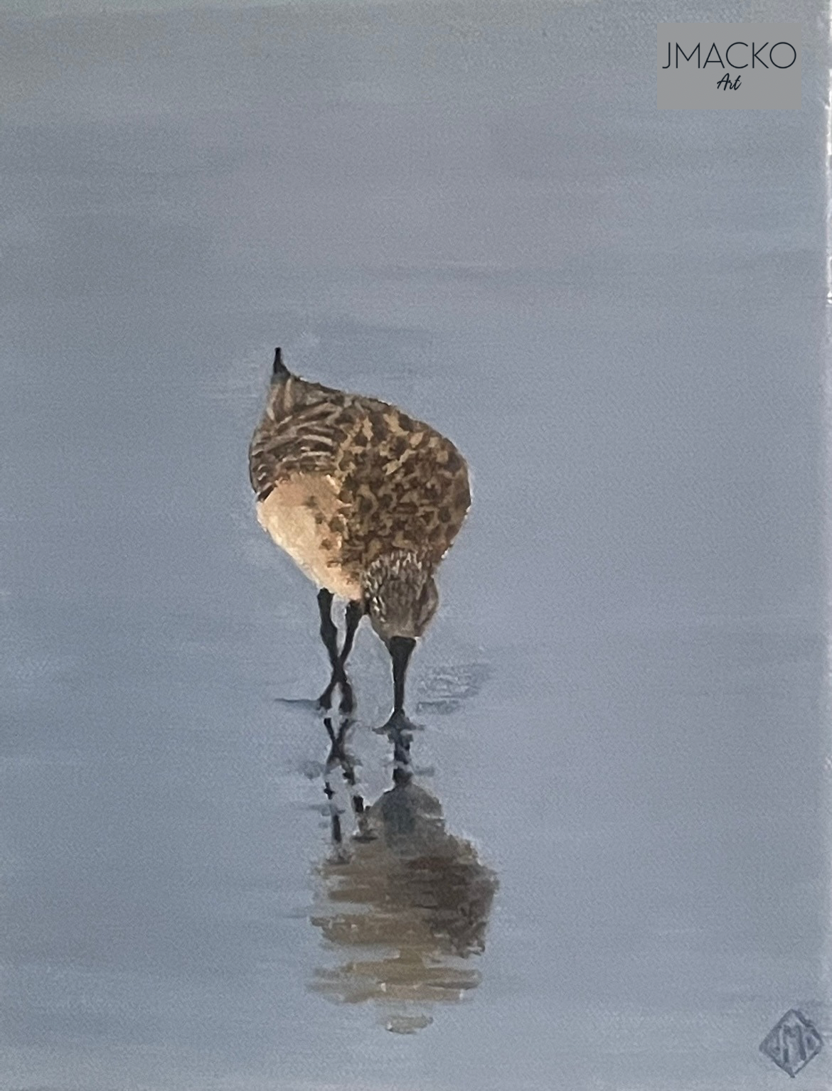 "Sandpiper"