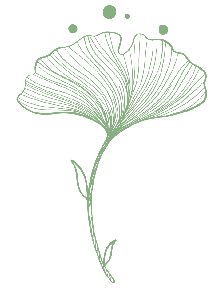 A minimalist line drawing of a ginkgo leaf on a stem with two small leaves, in green color.