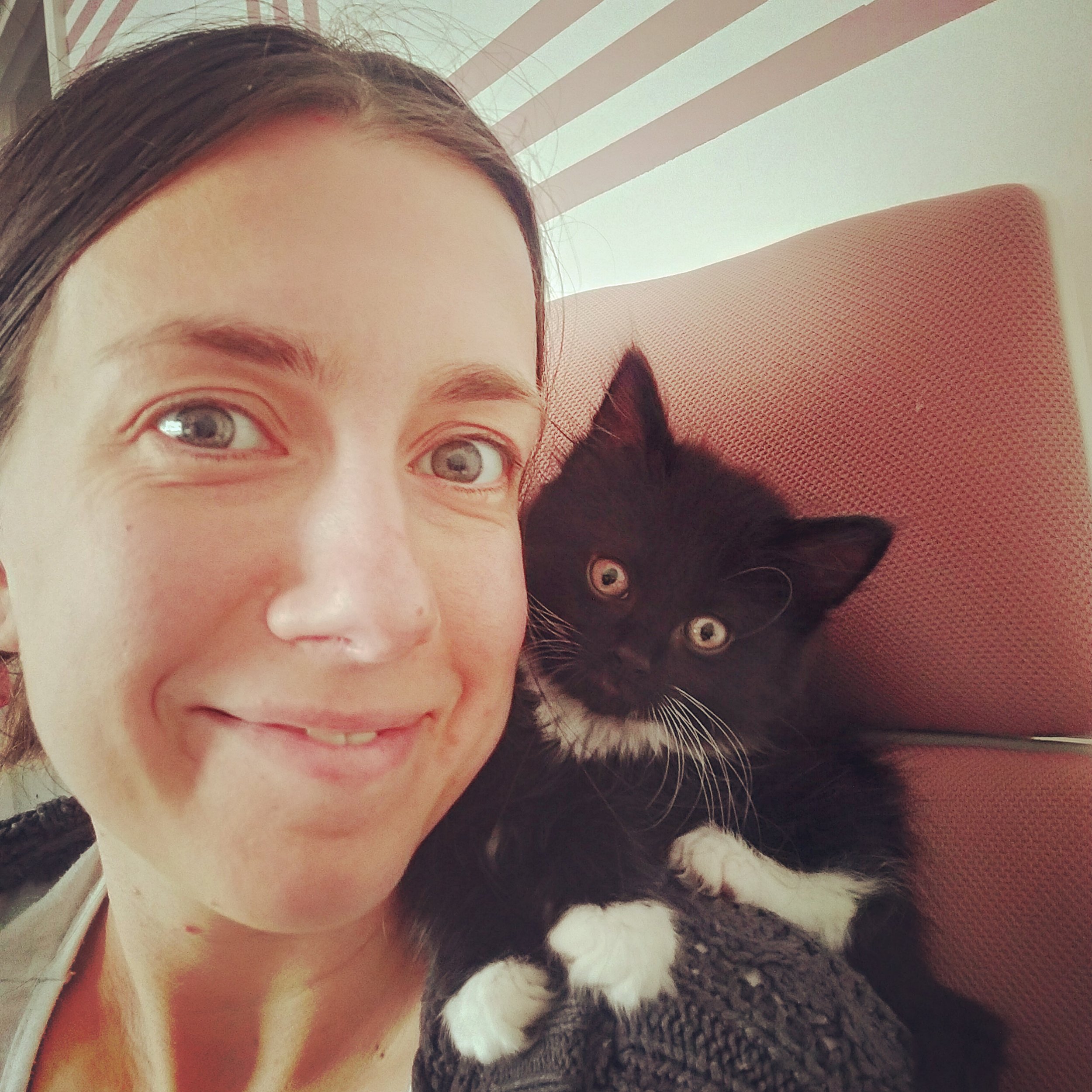 A black and white tuxedo cat kitten is on the shoulders of a young woman with brown hair and green eyes (me!)