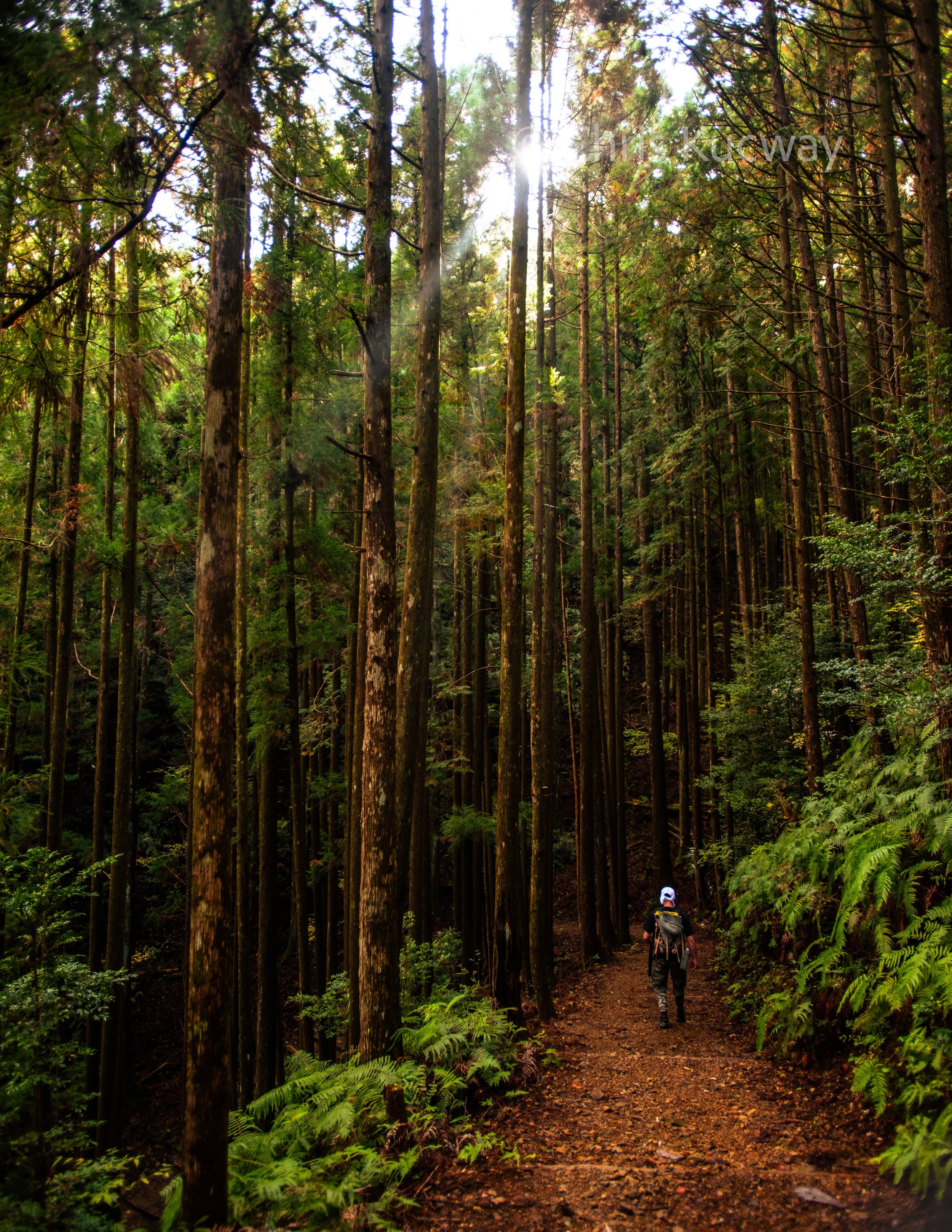 Winding, 900-year-old trails