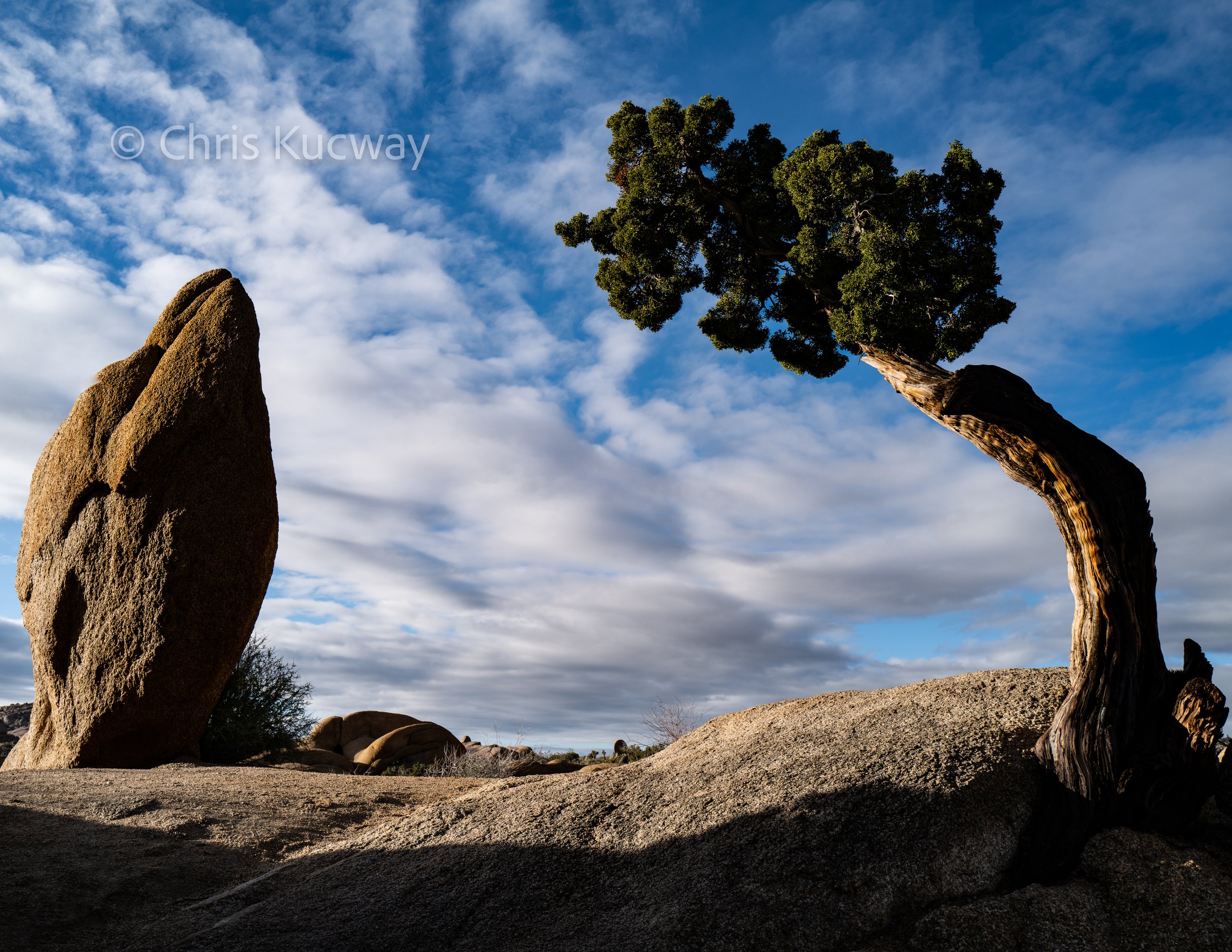 Joshua Tree National Park, USA